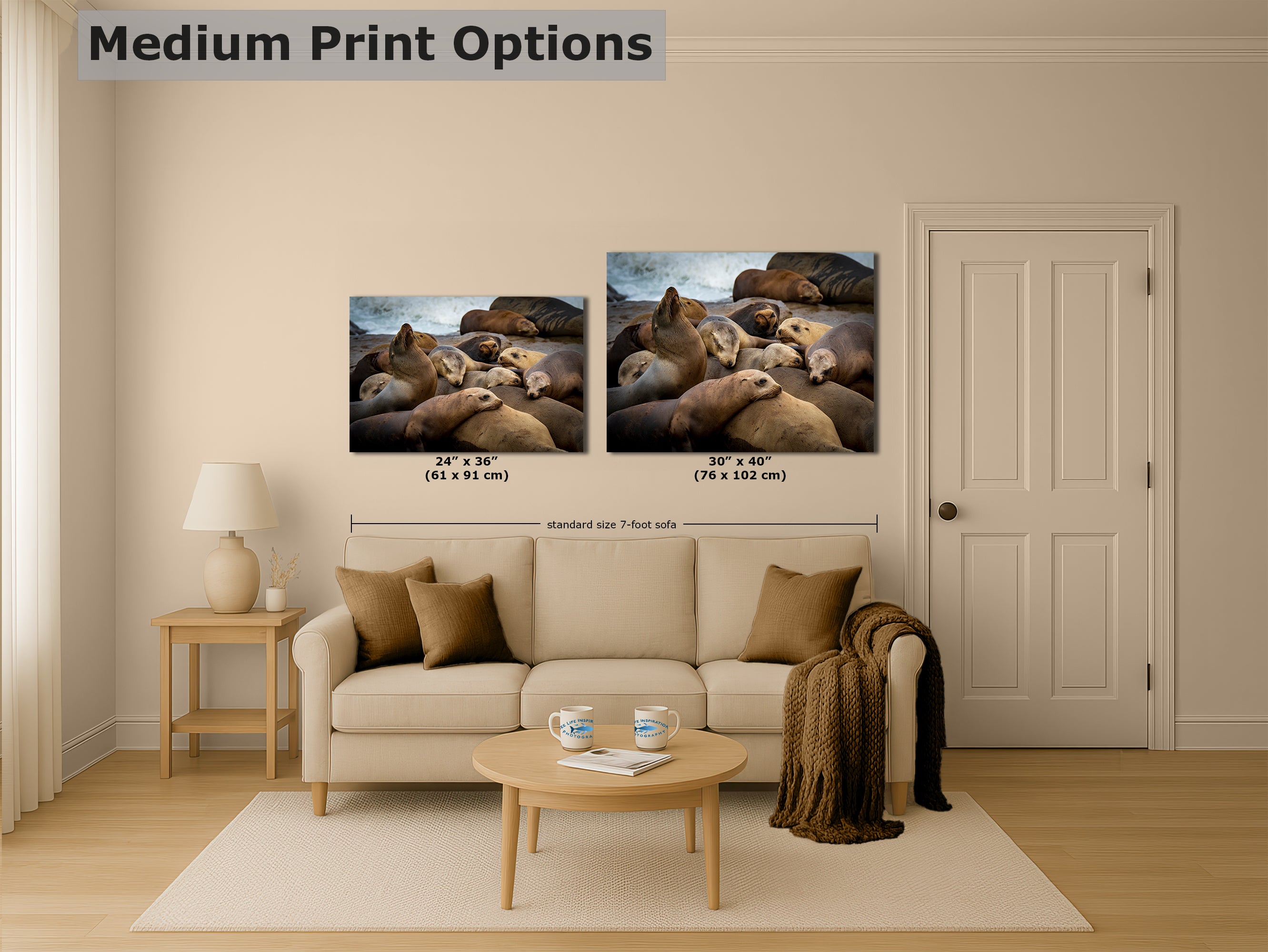 California Sea Lion Marine Mammal Wildlife Photography, Ocean Animals Wall Art, Nature Lover Gift, Marine Biology Artwork