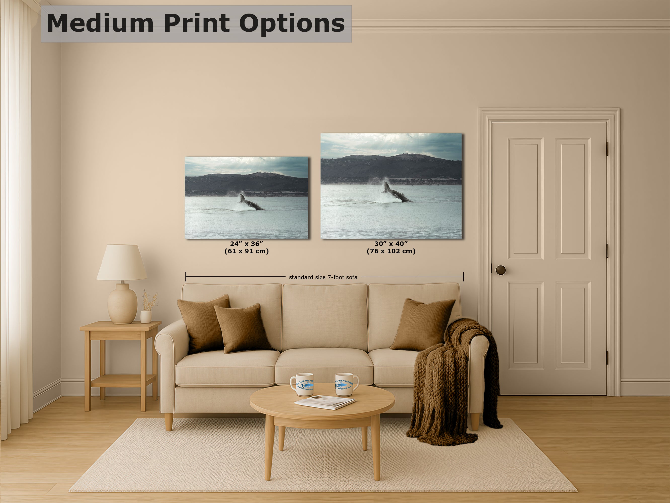 Humpback Whale Marine Mammal Wildlife Photography, Ocean Nature Art, Marine Conservation, Dolphin & Sea Life Gift, House Decor