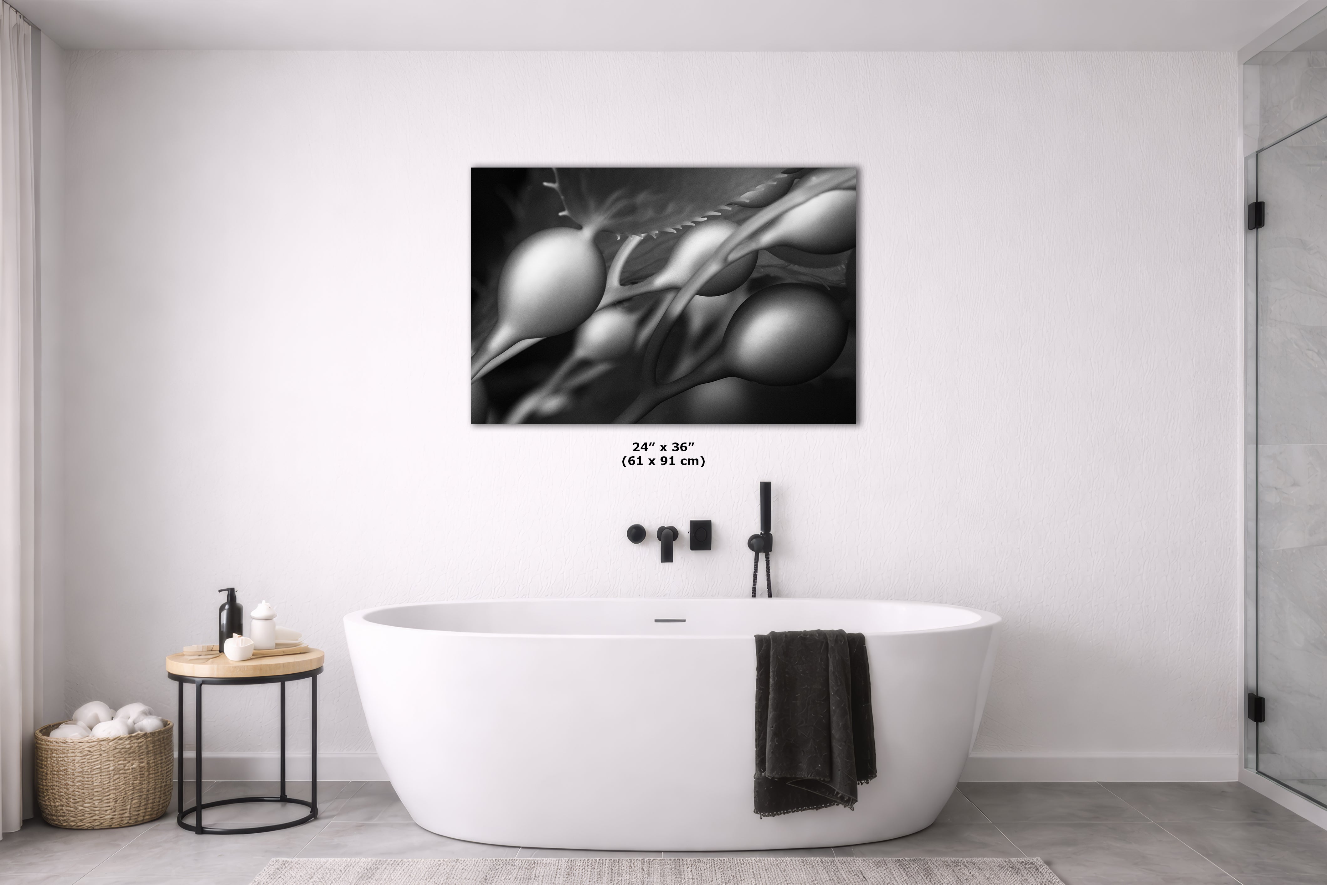 Limited Edition Fine Art Photography, California Giant Kelp Underwater Art, Awaken