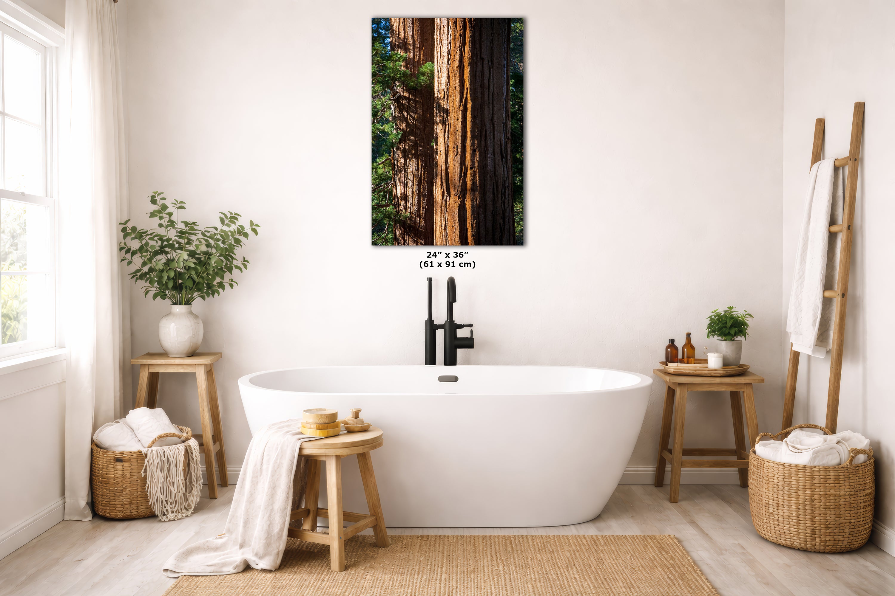 Giant Sequoia Tree Forest Picture Nature Photo, Redwood Trees Wall Art, Forest Bathing National Park Poster, Relaxation Decor