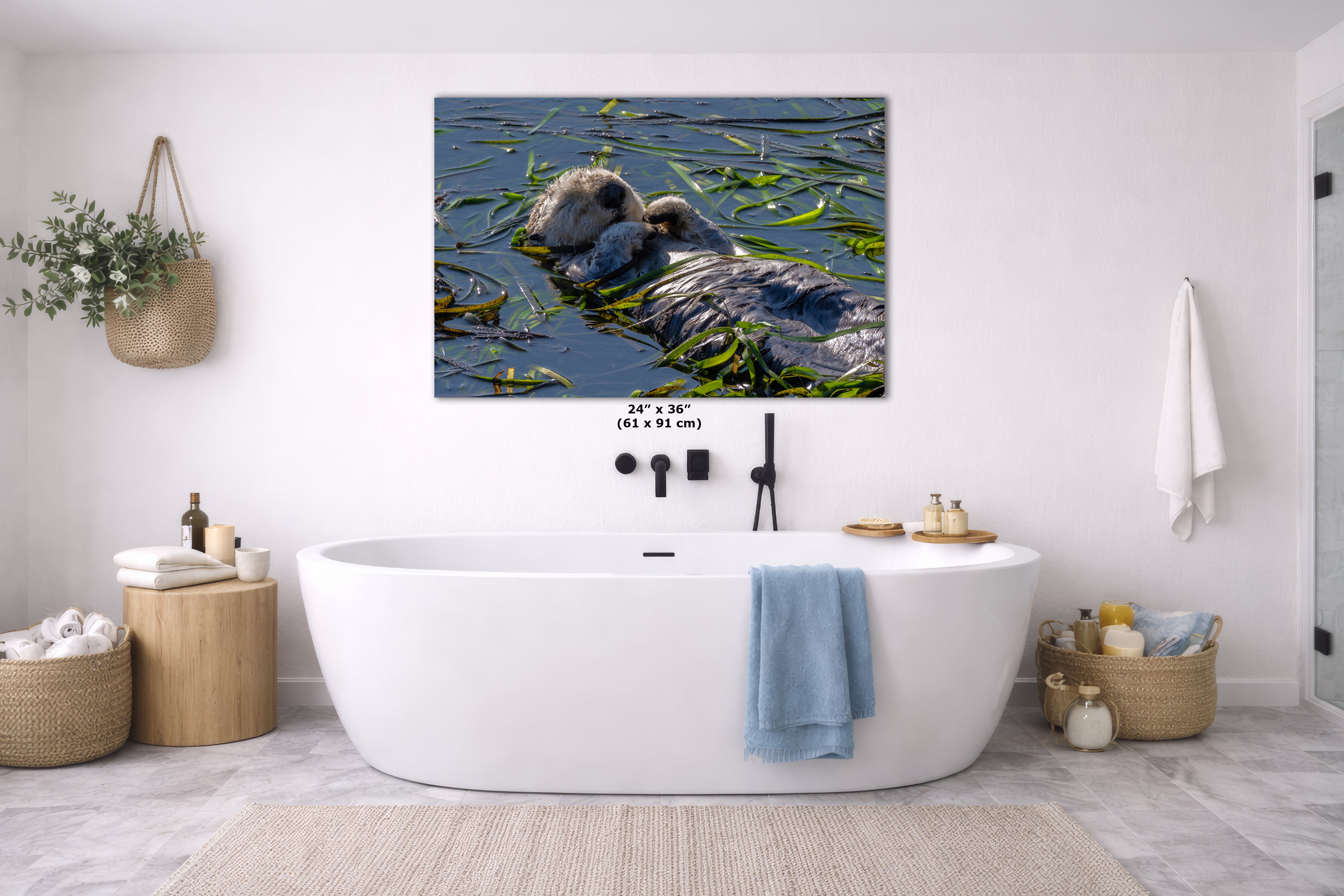 Marine Mammal Wildlife Photography Limited Edition Fine Art Print of California Sea Otter