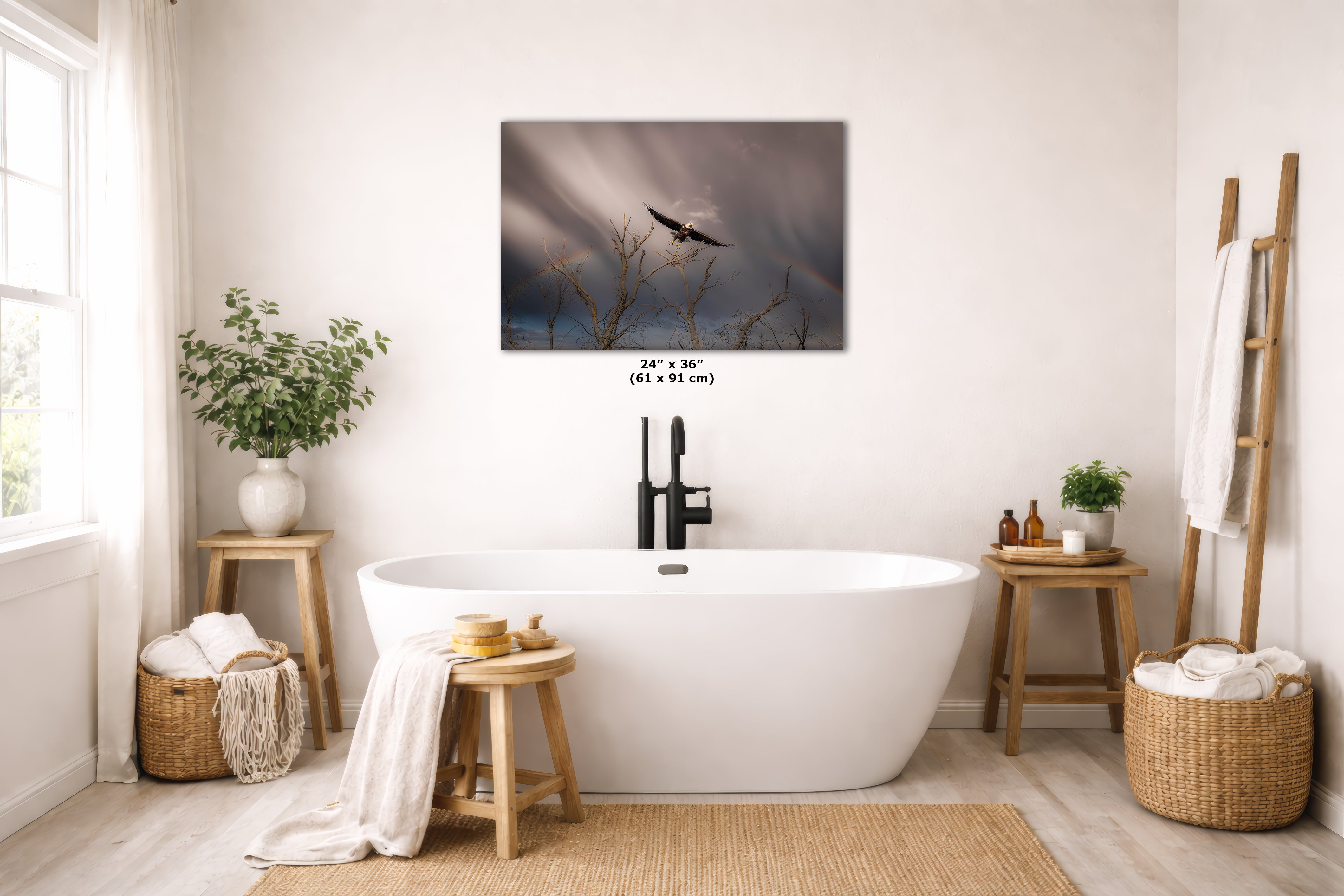 Soaring Bald Eagle Picture Wildlife Photography Wall Art, Nature Photo, Bird Photography, Rustic Cabin Decor, Office or Dorm Room Wall Decor