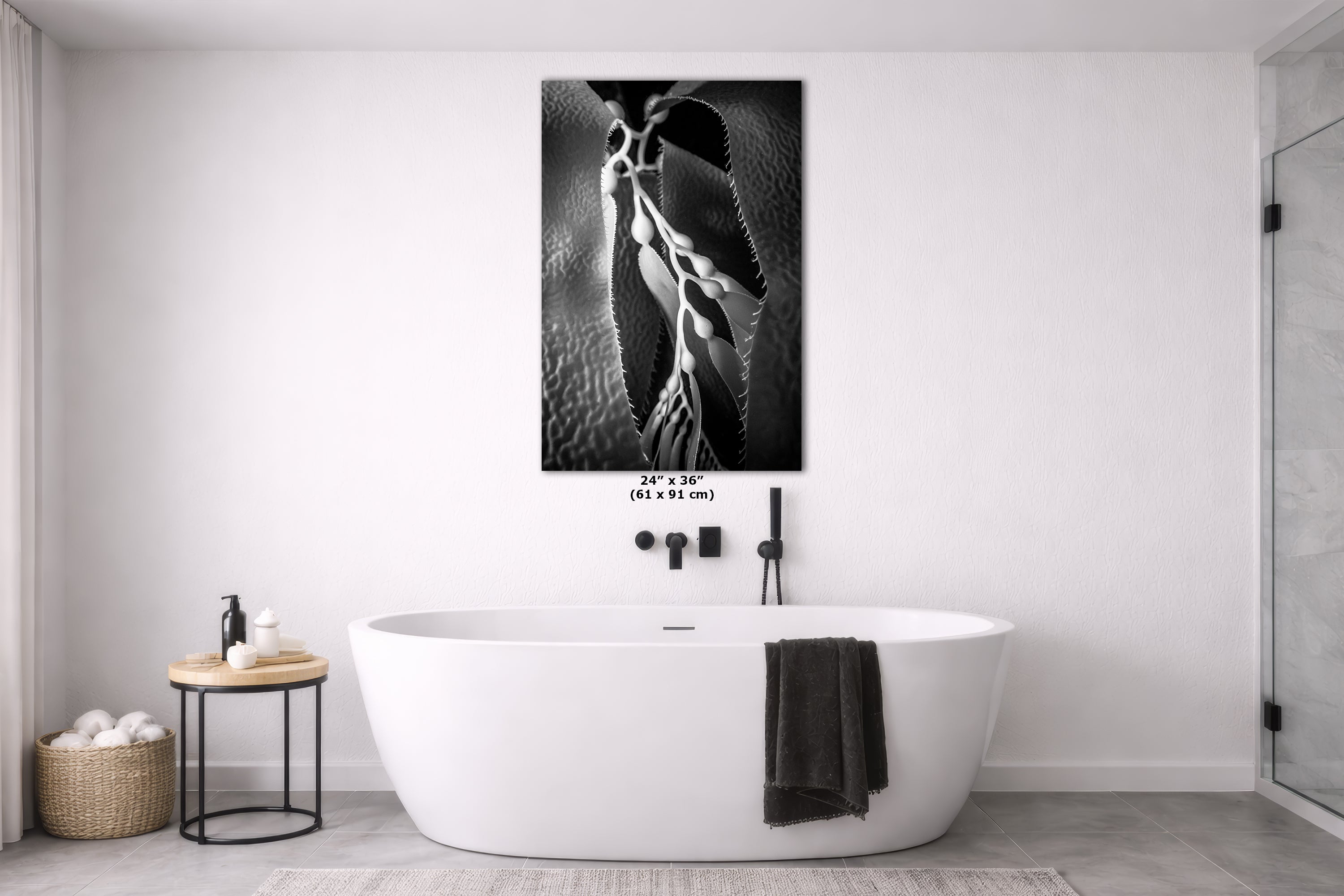 Limited Edition Fine Art Photography, Ocean Art California Giant Kelp, Essence