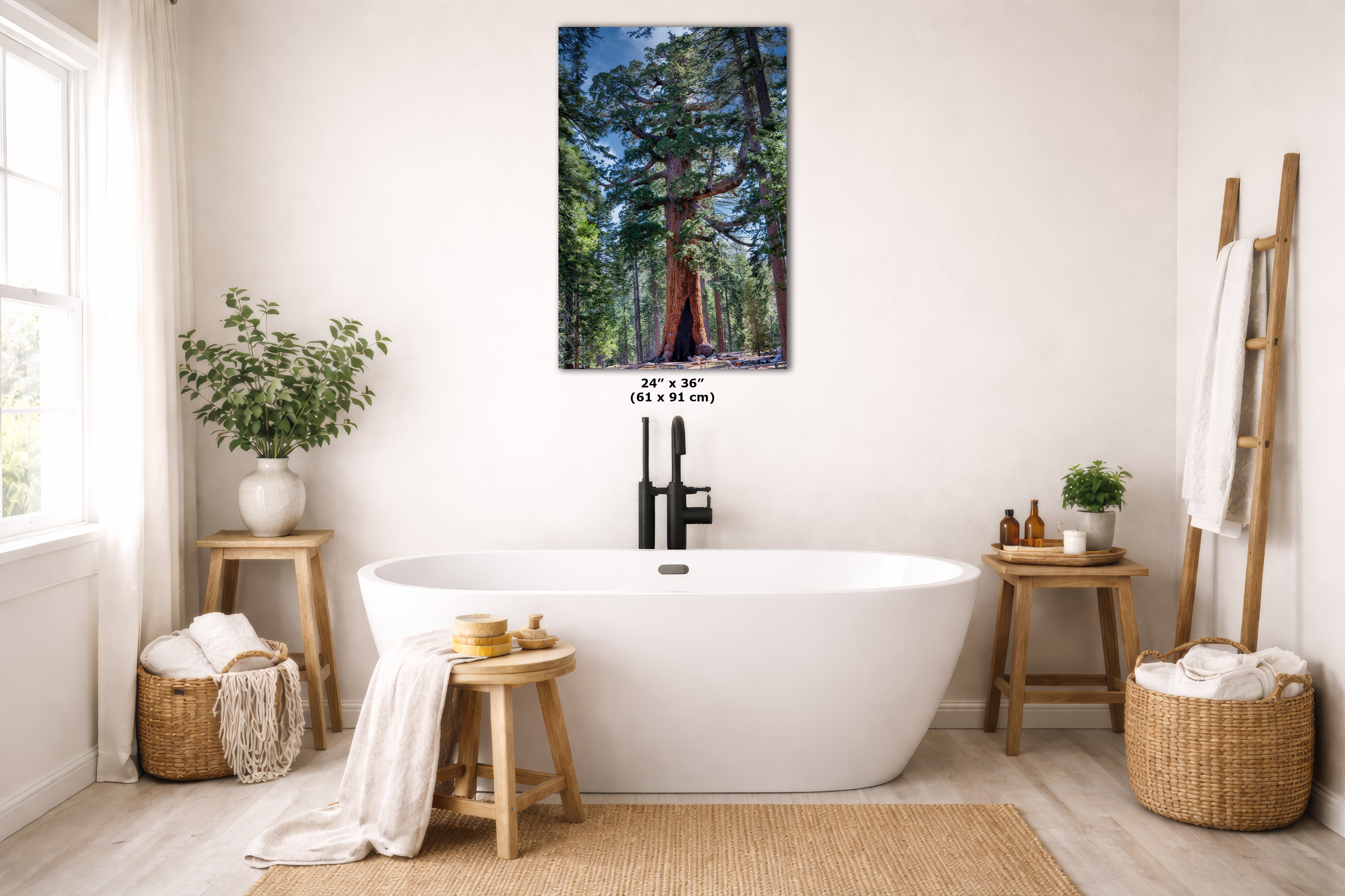 Giant Sequoia Tree Forest Picture Nature Photo, Yosemite Redwood Trees, Mariposa Grove Tree Hugger Decor, Forest Bathing for Relaxation
