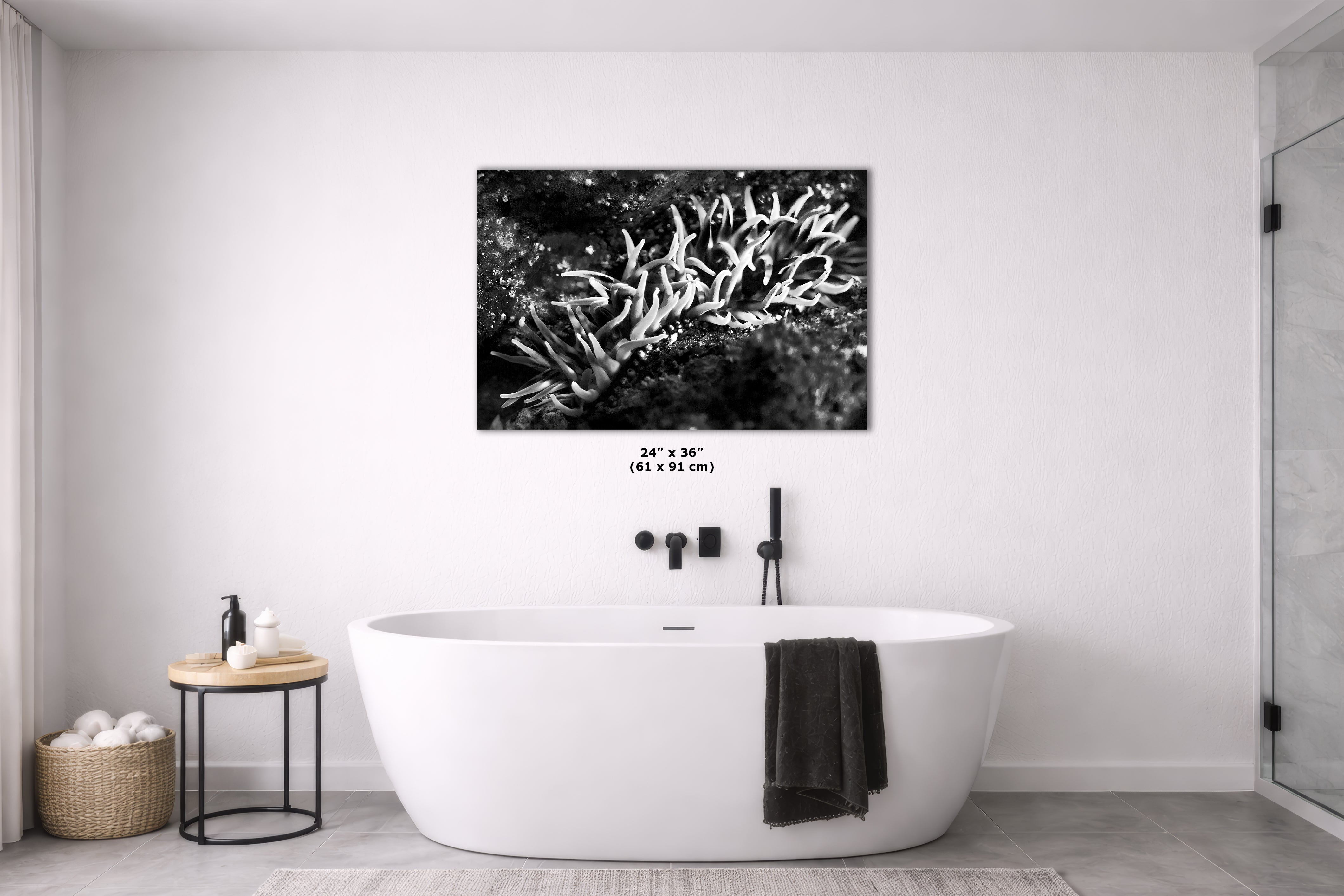 Sea Anemone Picture Ocean Life Underwater Scenery Nature Photo, Marine Biology Decor, Black and White Coral Reef Art for Marine Enthusiasts
