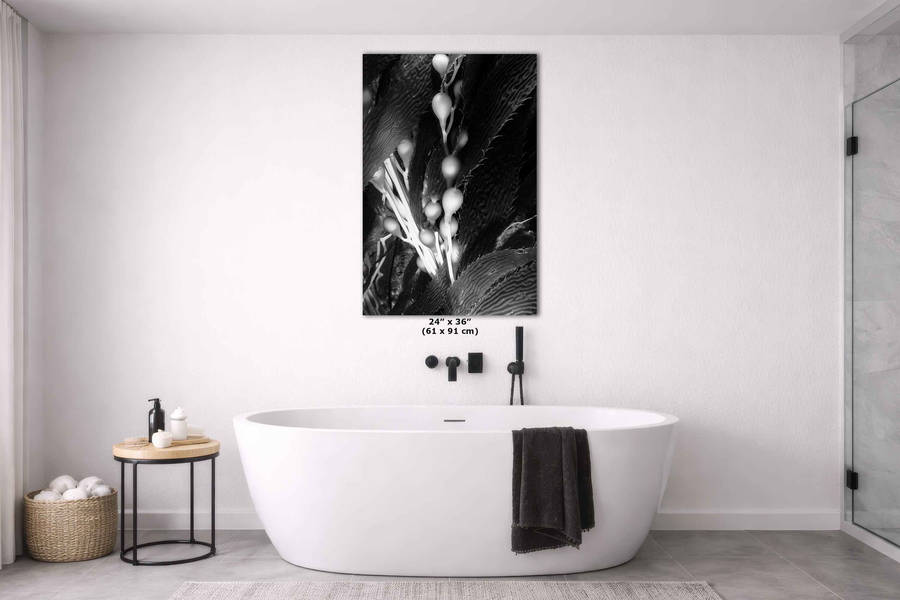Limited Edition Fine Art Photography, Sea Life Art California Giant Kelp, Surrender