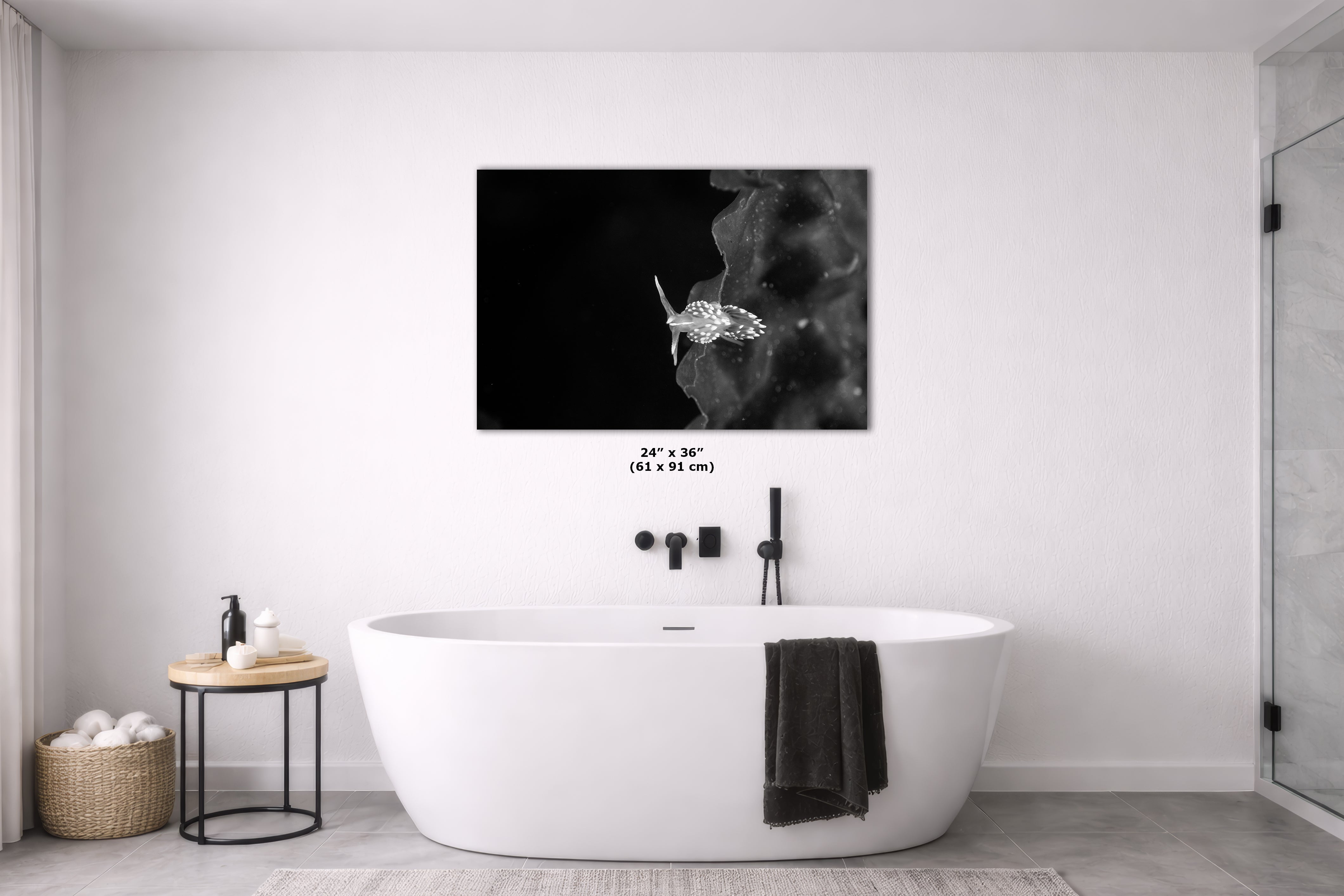 Limited Edition Fine Art Photography, Underwater Sea Life Ocean Art, The Universe