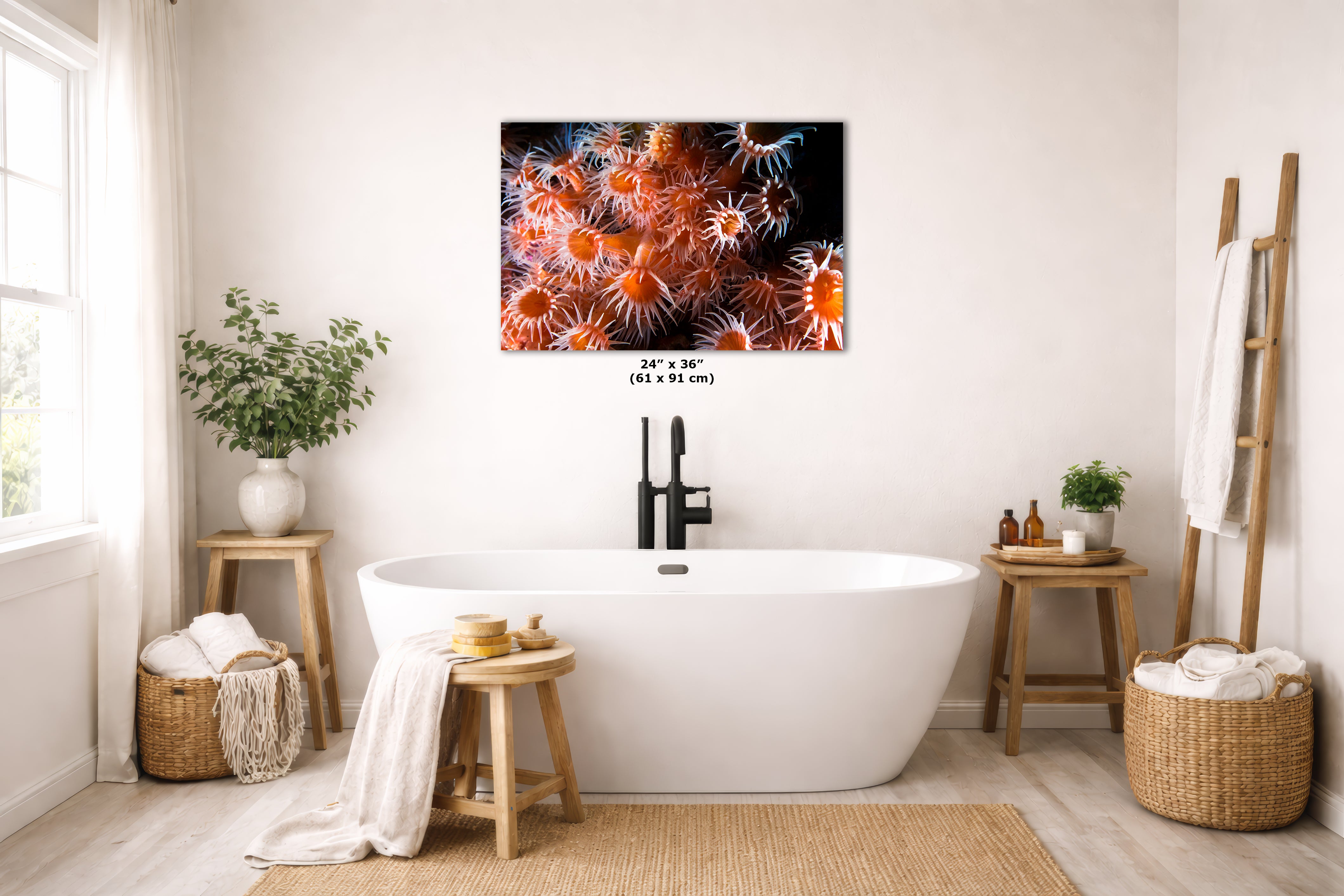 Sea Anemone Picture Ocean Life Underwater Scenery Nature Photo, Marine Biology Wall Art, Vibrant Orange Zoanthid Coral Reef, Ocean Decor