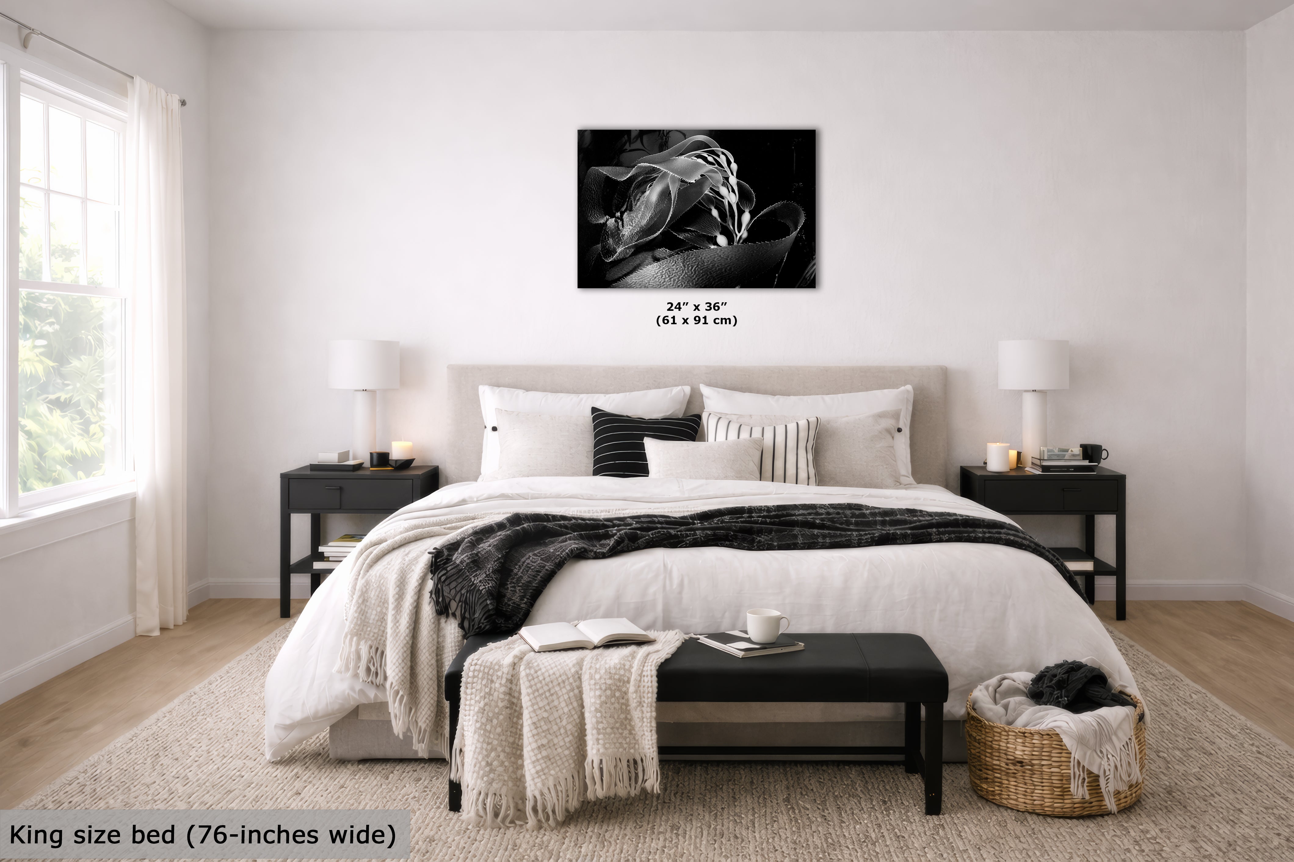 Limited Edition Fine Art Photography, California Giant Kelp Ocean Life, Presence