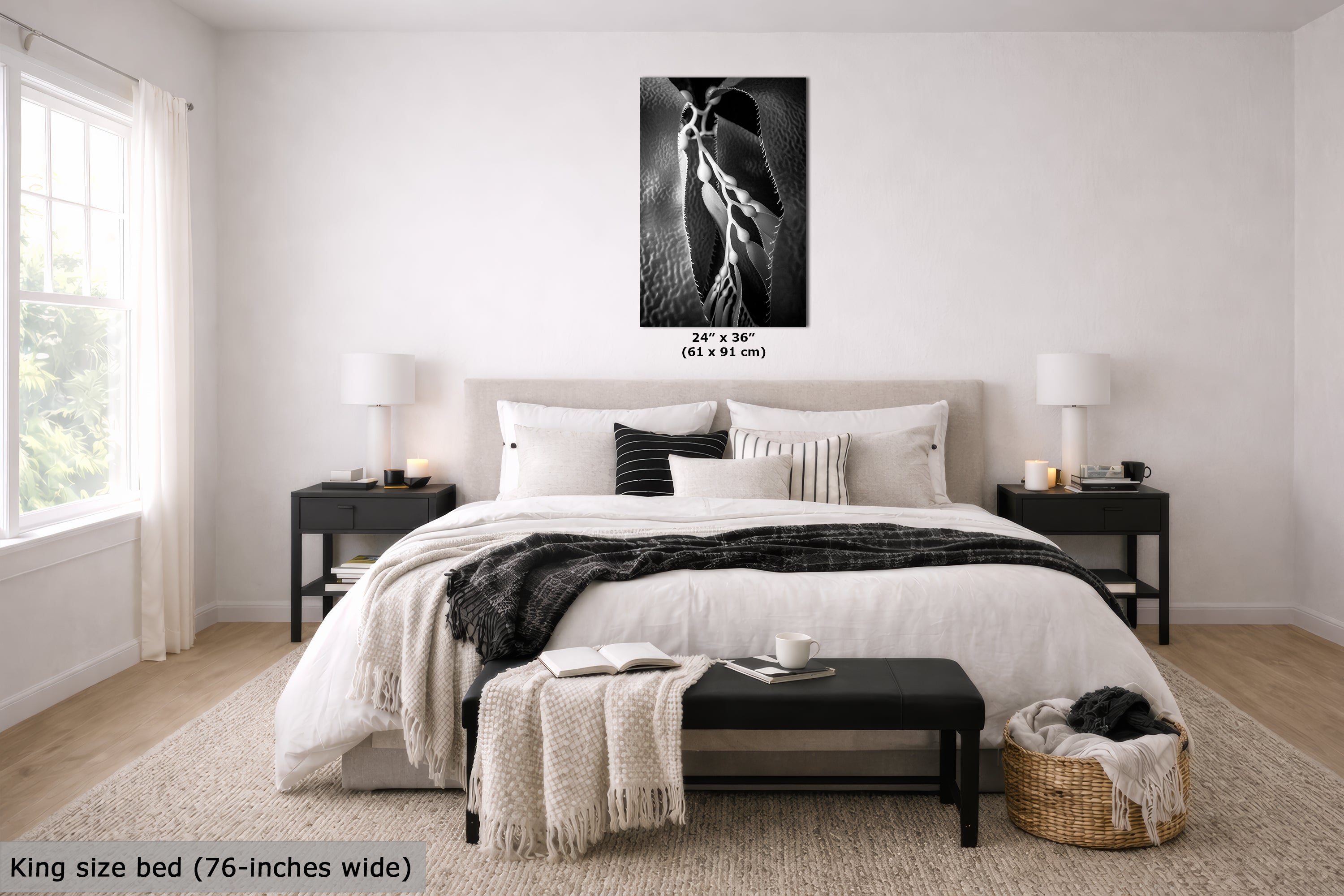 Limited Edition Fine Art Photography, Ocean Art California Giant Kelp, Essence