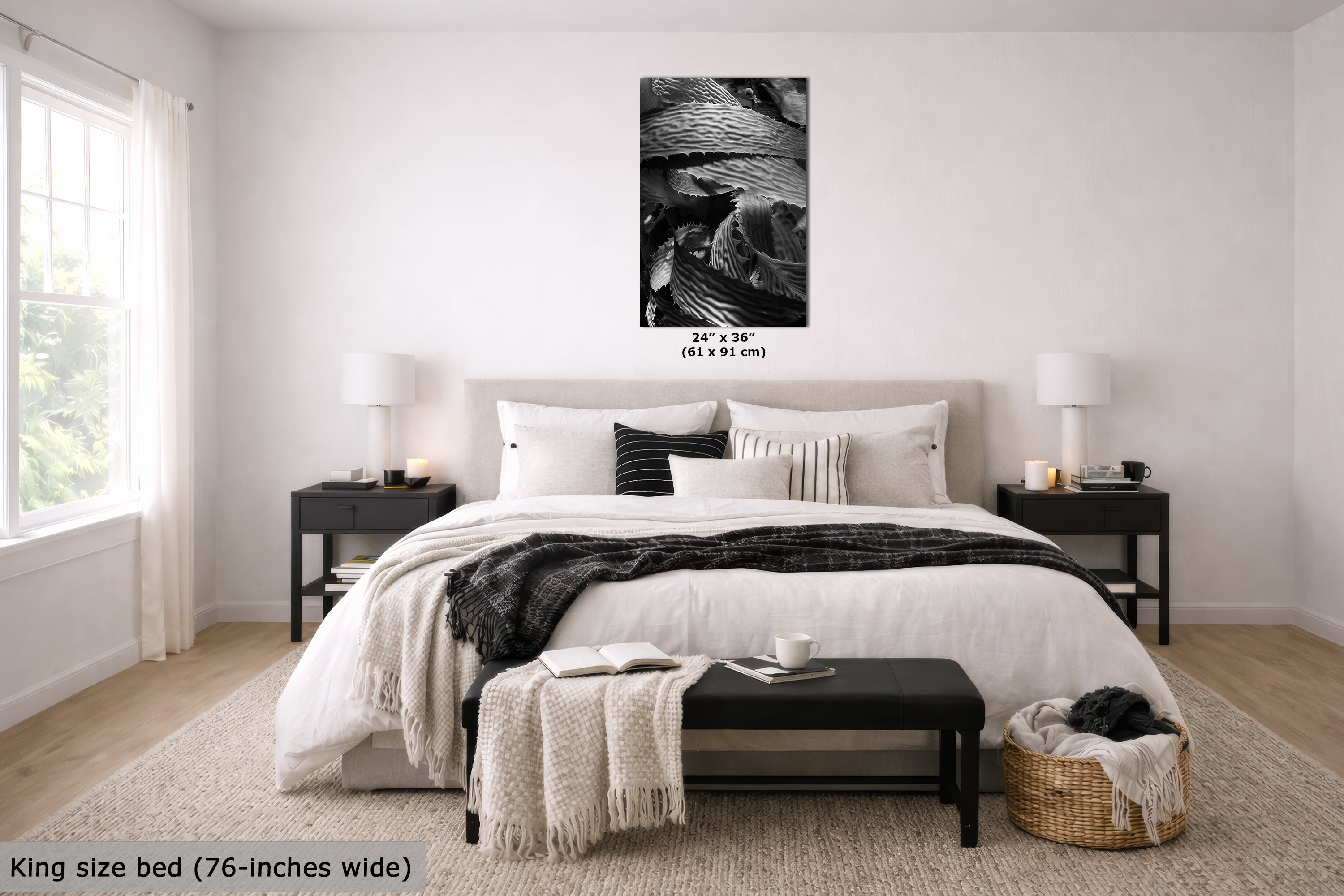 Limited Edition Fine Art Photography, California Giant Kelp Underwater Art, Patience