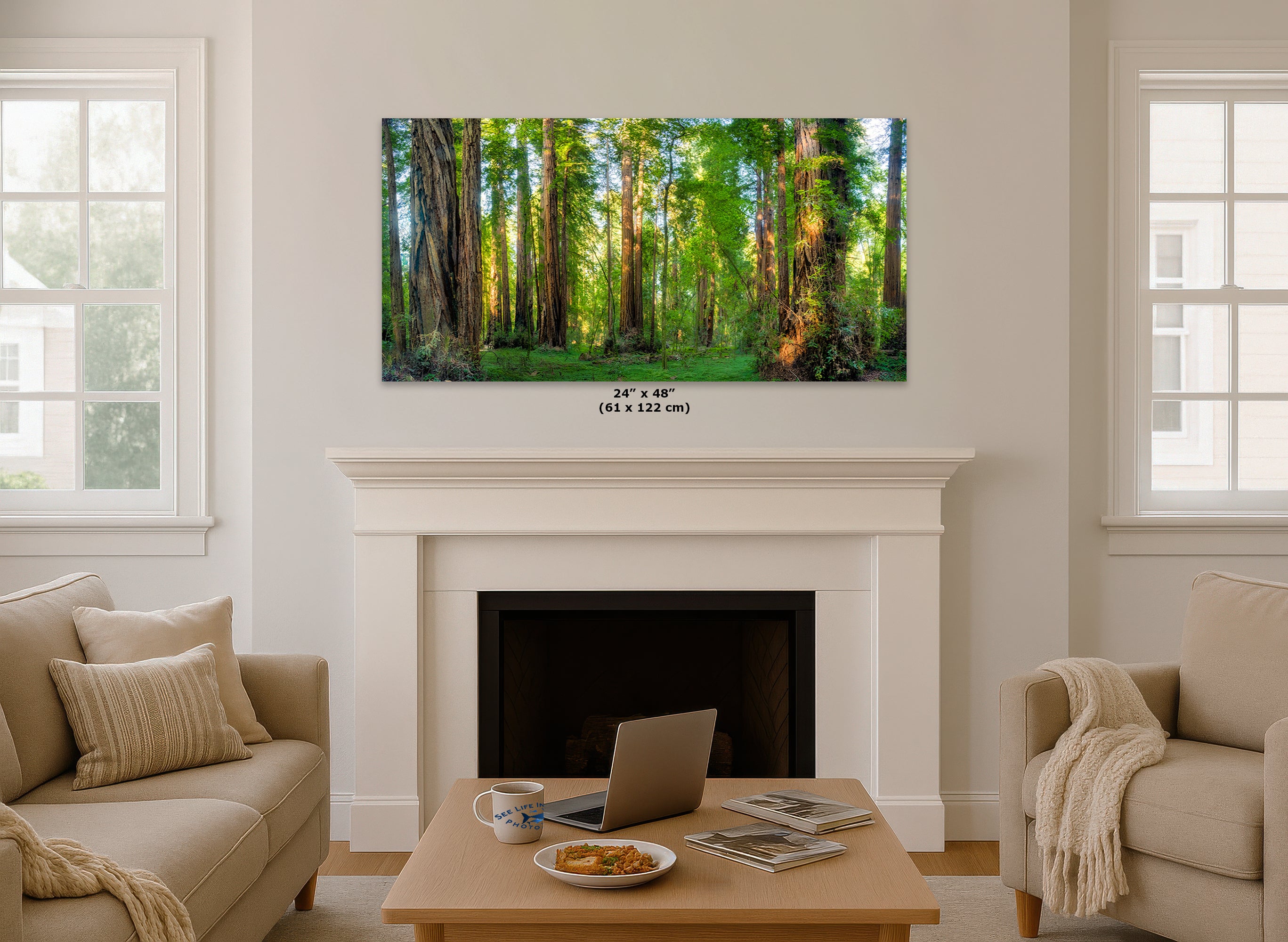 Redwood Trees Forest Picture Nature Photo, Forest Bathing Relaxation Artwork for Calming Meditation, Office and House Decor