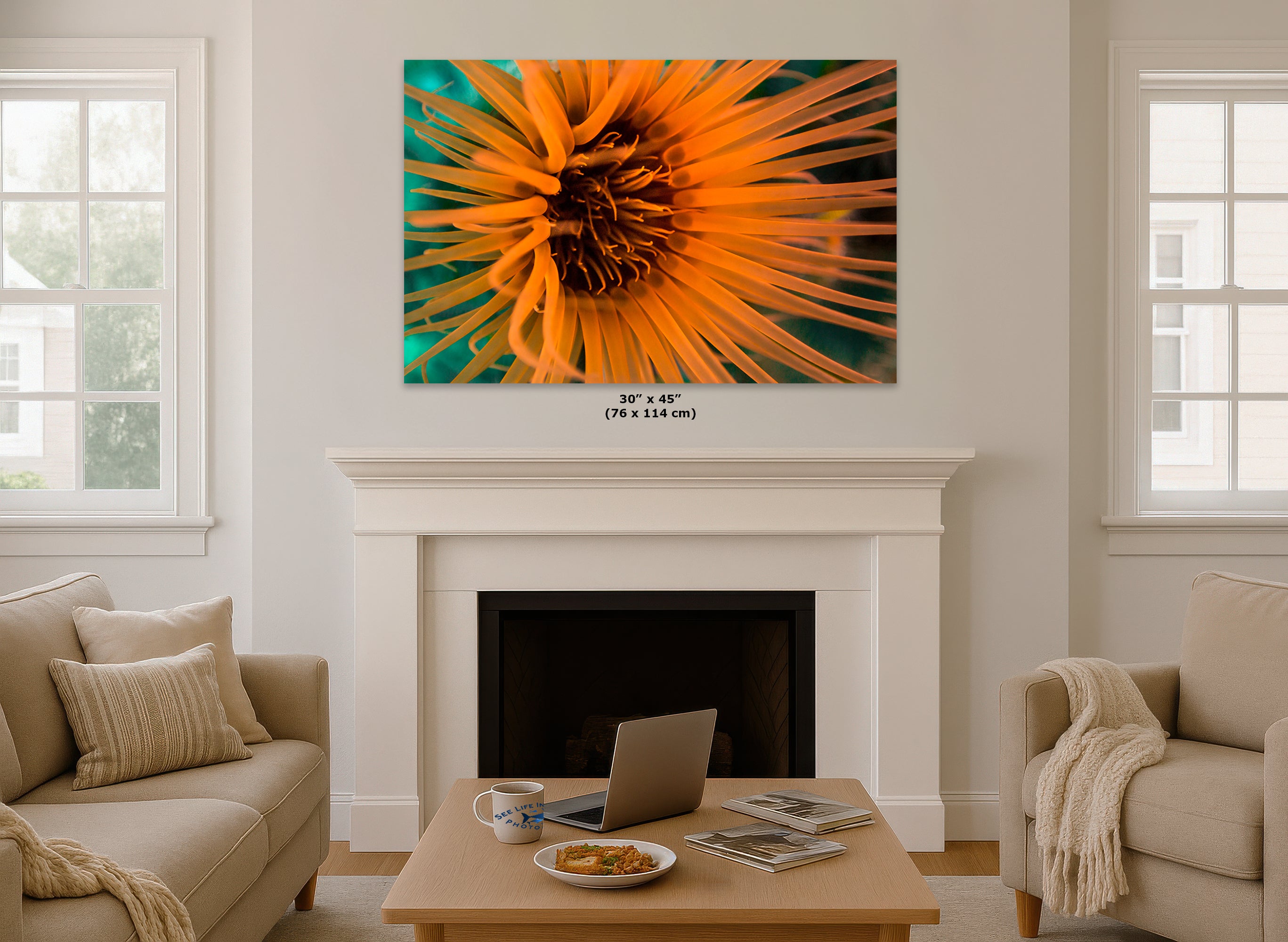 Sea Anemone Picture Ocean Life Underwater Scenery Nature Photo, Marine Biology Wall Art, Vibrant Coral Reef, Gift for Ocean Lover