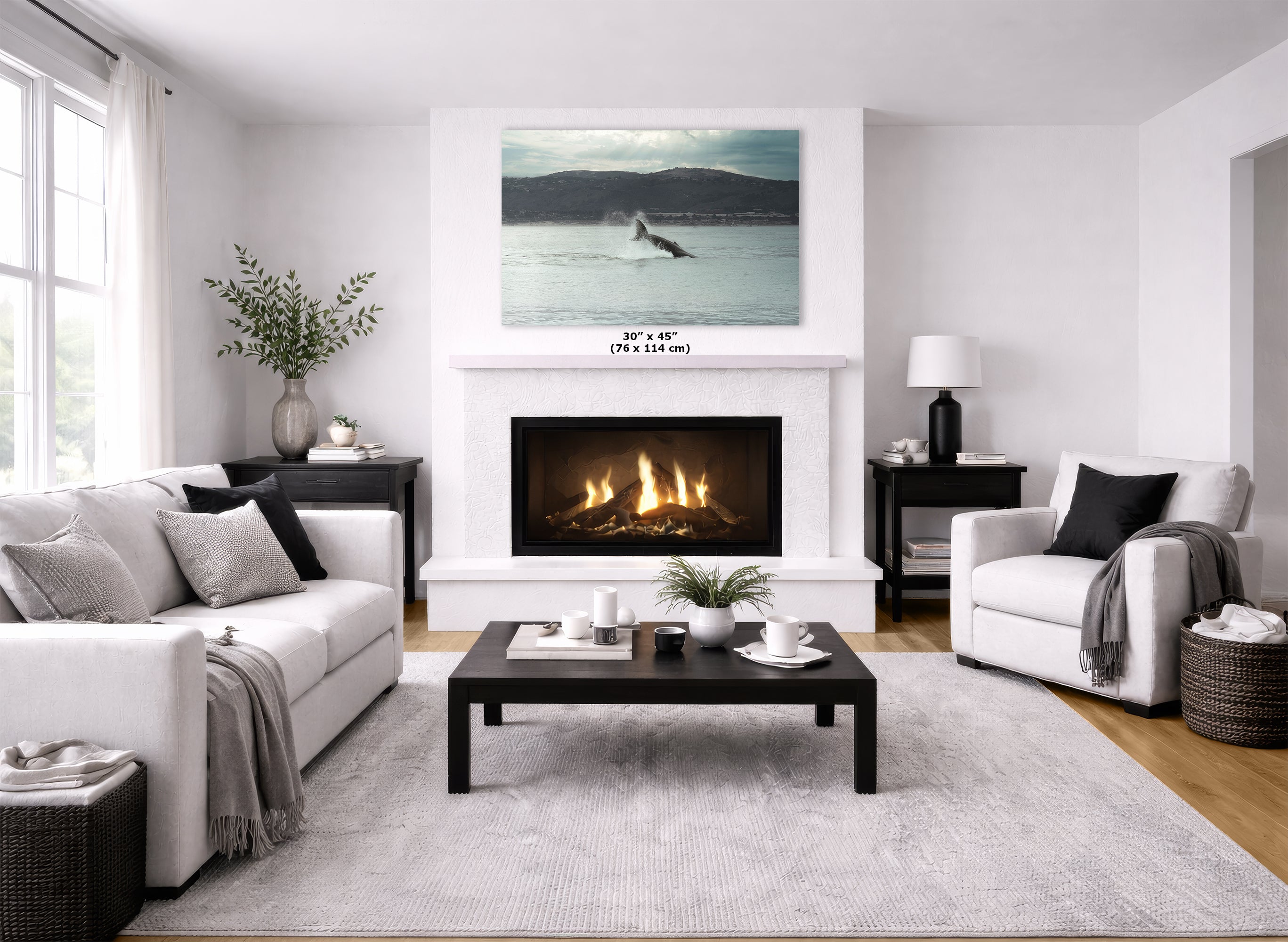 Humpback Whale Marine Mammal Wildlife Photography, Ocean Nature Art, Marine Conservation, Dolphin & Sea Life Gift, House Decor