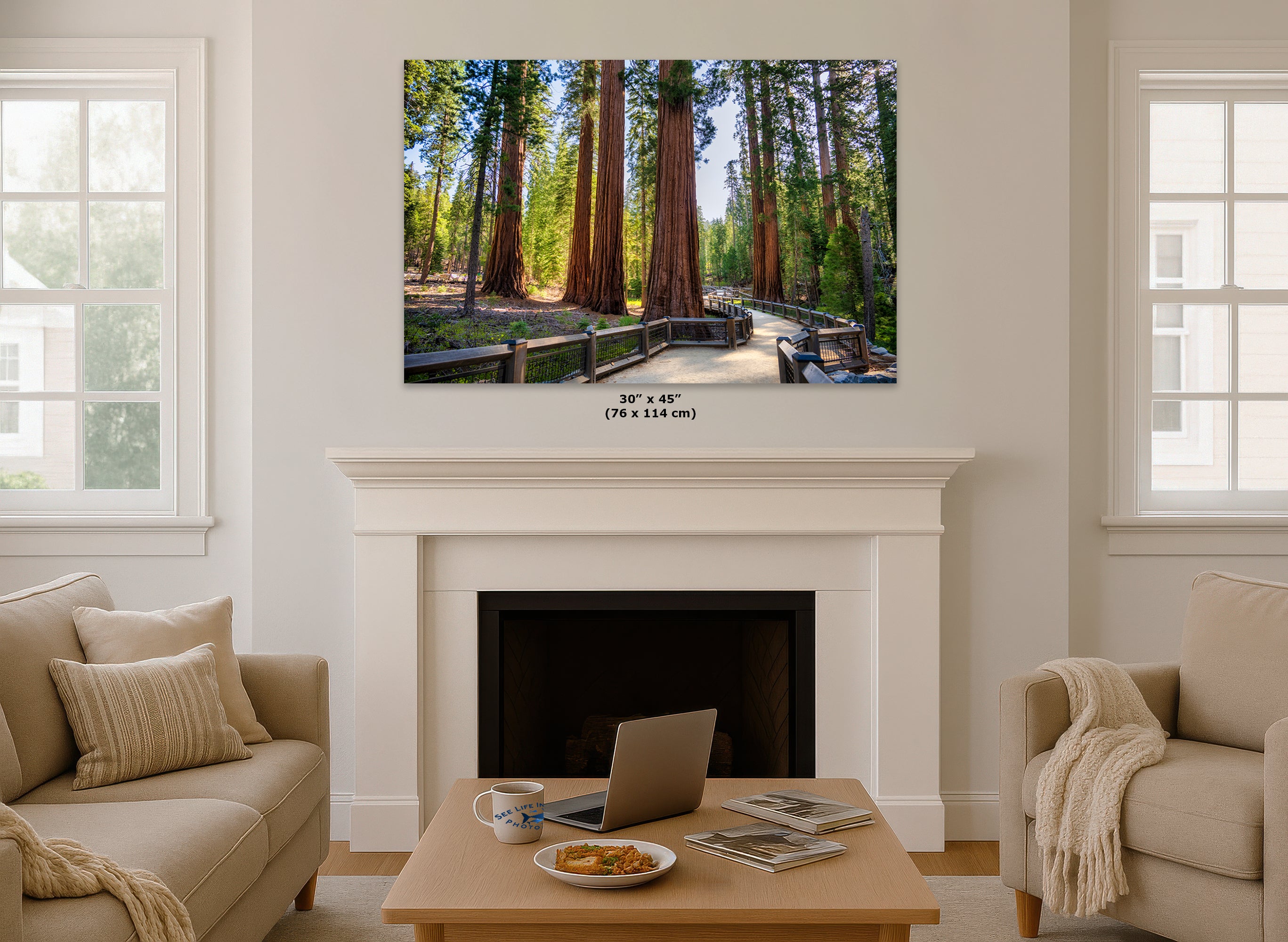 Giant Sequoia Tree Forest Picture Nature Photo | Yosemite Redwood Trees for Nature Lovers & Forest Bathing Relaxation, Meditation Artwork