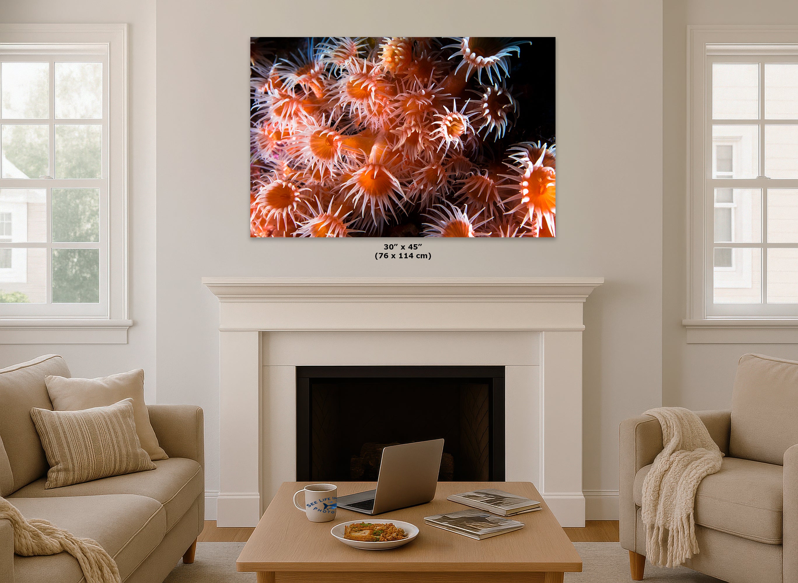 Sea Anemone Picture Ocean Life Underwater Scenery Nature Photo, Marine Biology Wall Art, Vibrant Orange Zoanthid Coral Reef, Ocean Decor