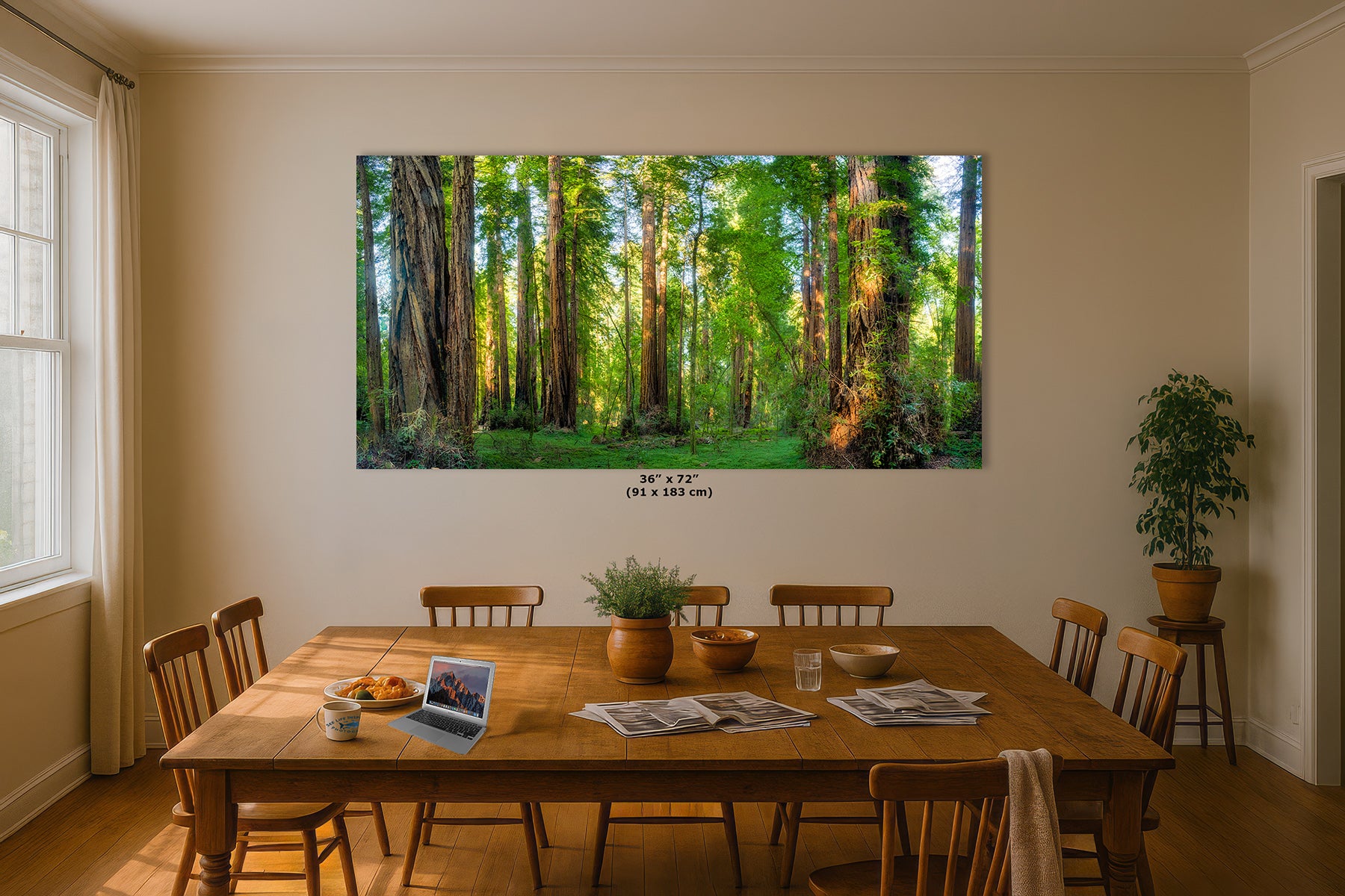 A large wall art print showing a sunlit California Redwood forest of tall trees, displayed above a wooden dining table in a real room with chairs, plants, and windows. Small text beneath the print indicates dimensions 36 x 72 in / 91 x 183 cm.