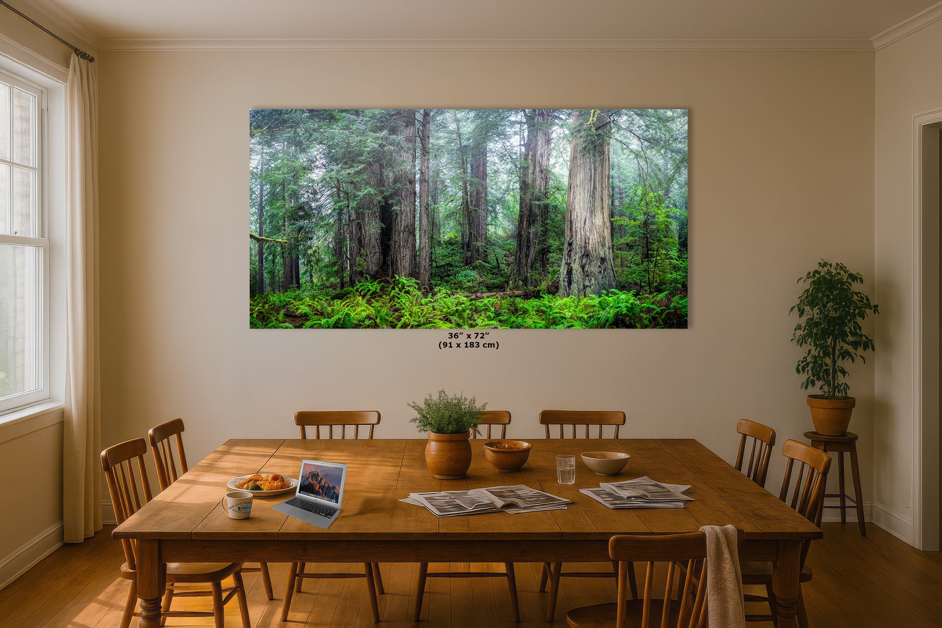 Redwood Trees Forest Picture Nature Photo, Forest Bathing in Misty California Redwoods Wall Art, for Relaxation in the Home and Office