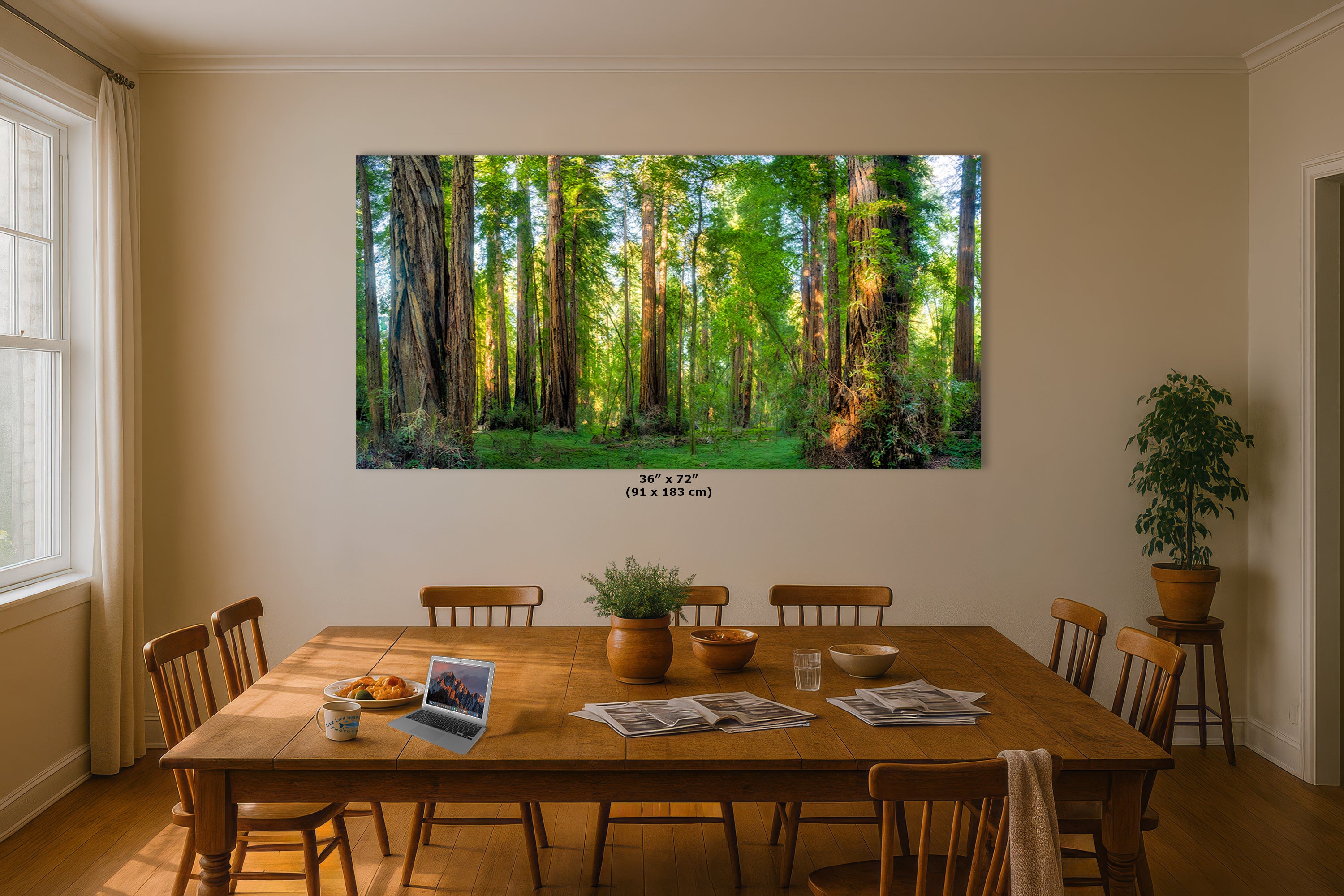 Redwood Trees Forest Picture Nature Photo, Forest Bathing Relaxation Artwork for Calming Meditation, Office and House Decor