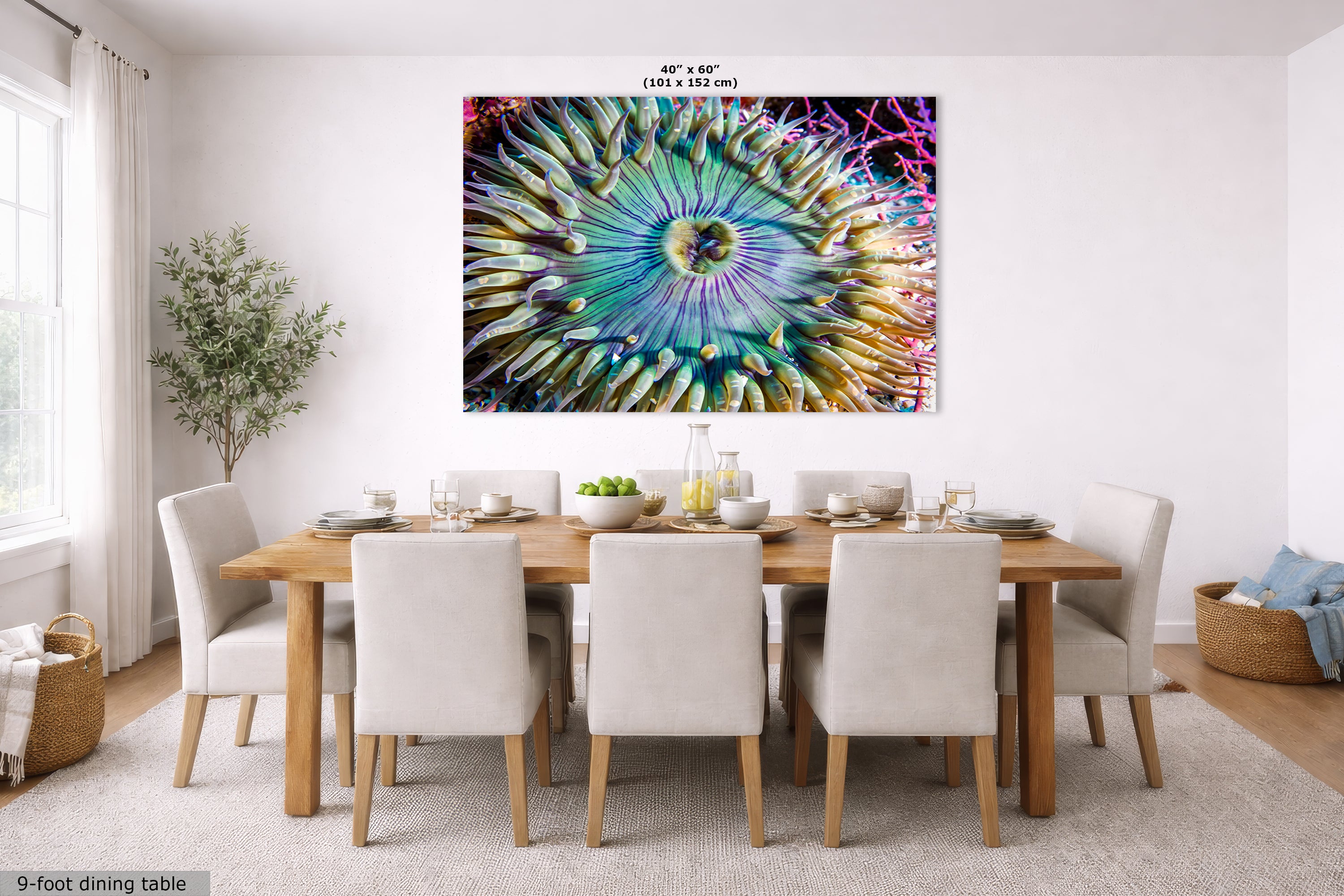 Ocean Life Limited Edition Fine Art Print Underwater Sea Anemone Photo