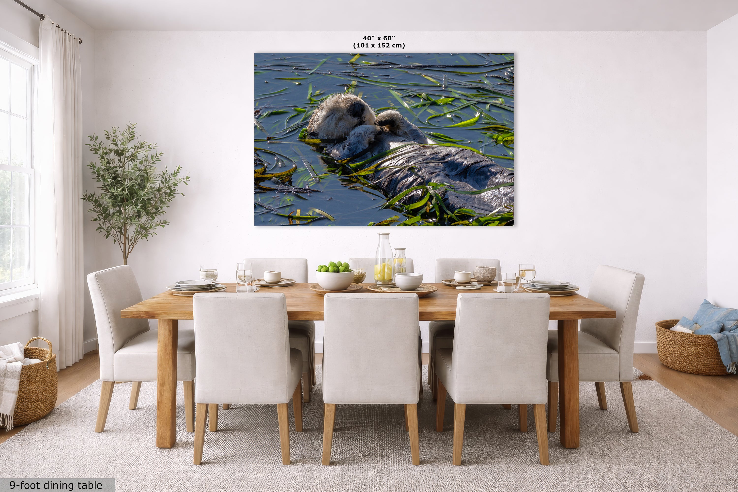 Marine Mammal Wildlife Photography Limited Edition Fine Art Print of California Sea Otter