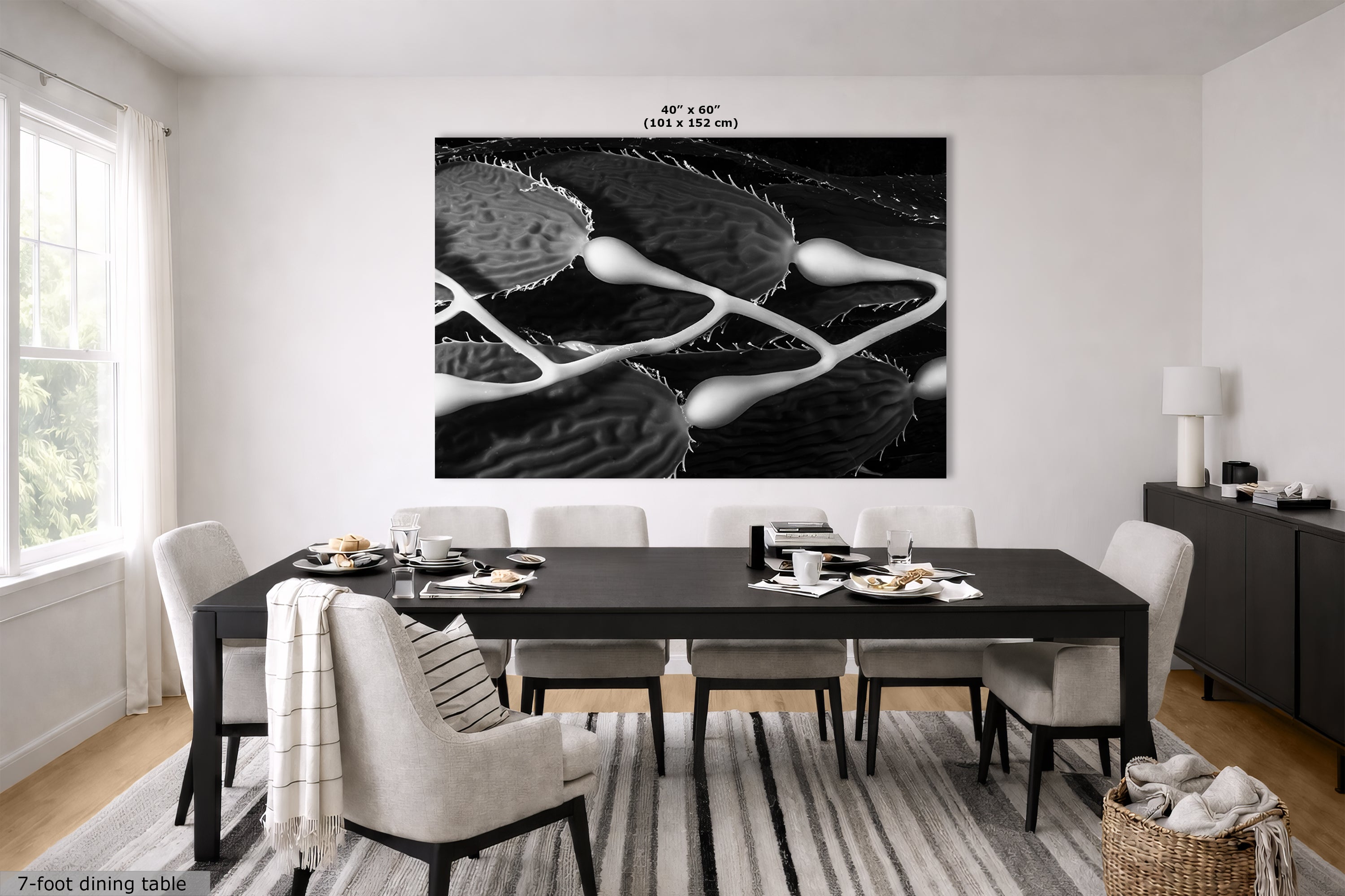 Limited Edition Fine Art Photography, Sea Life Ocean Art California Giant Kelp, Equanimity