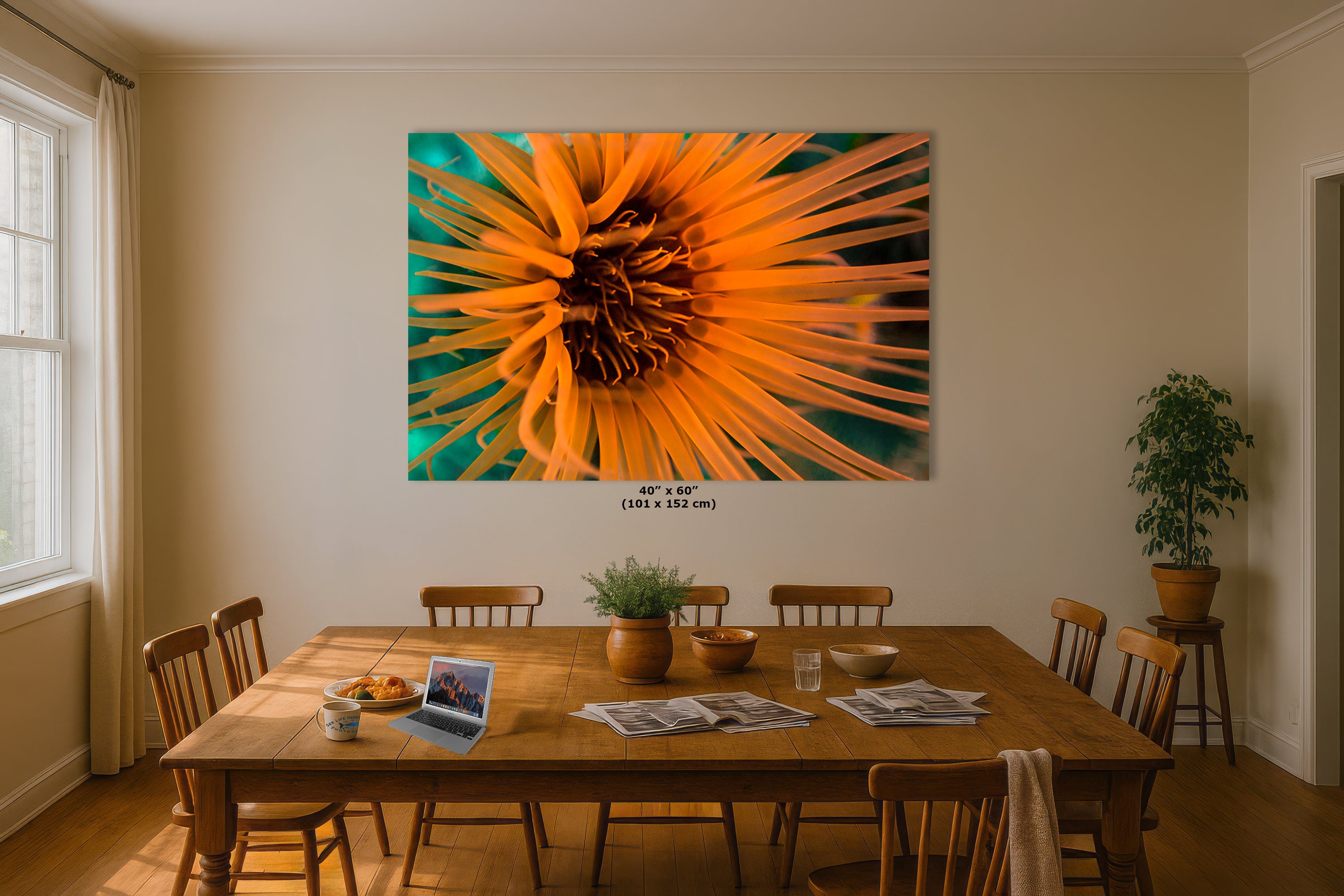 Sea Anemone Picture Ocean Life Underwater Scenery Nature Photo, Marine Biology Wall Art, Vibrant Coral Reef, Gift for Ocean Lover