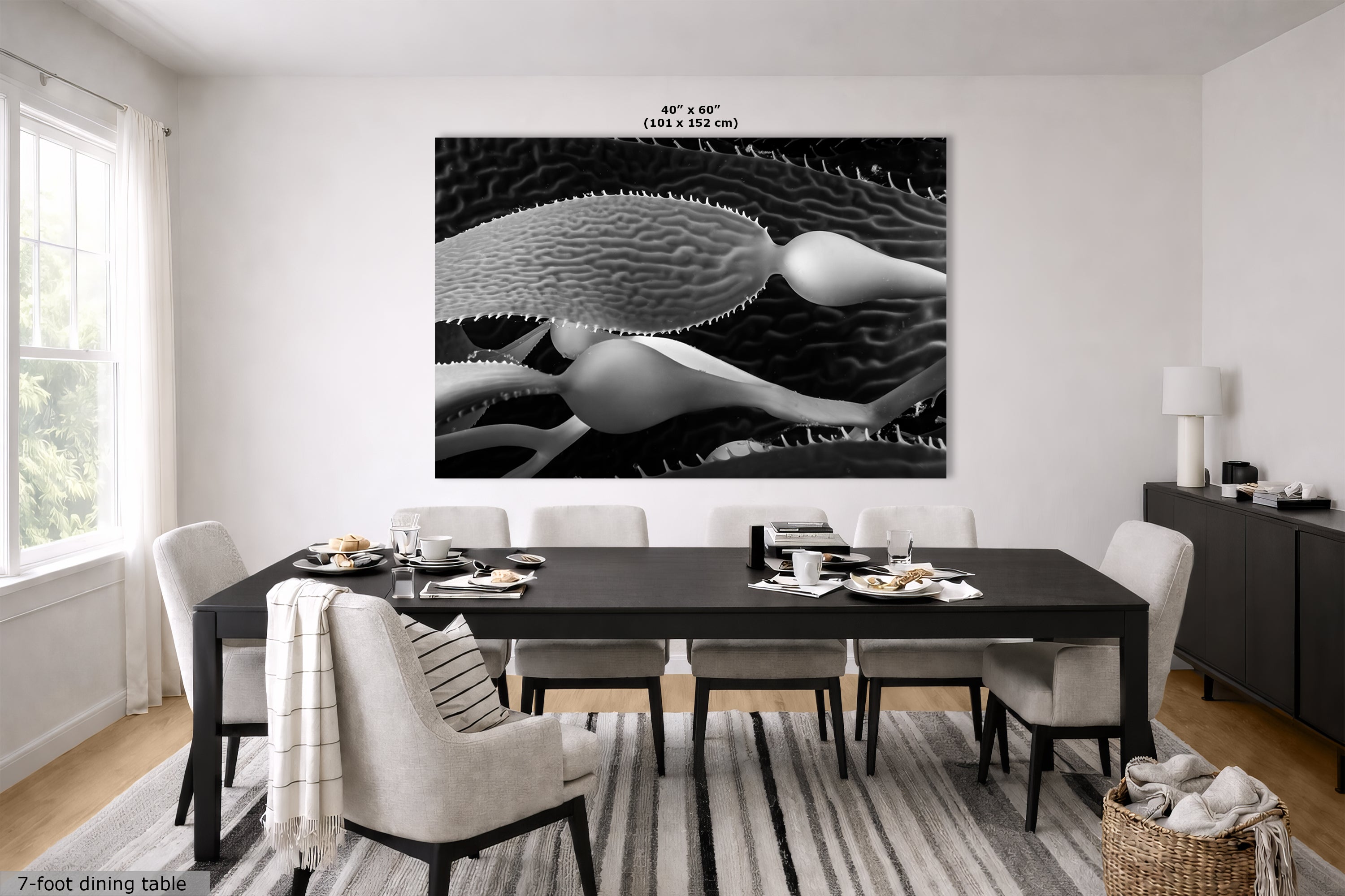 Limited Edition Fine Art Photography, California Giant Kelp Nature Photo, Clarity