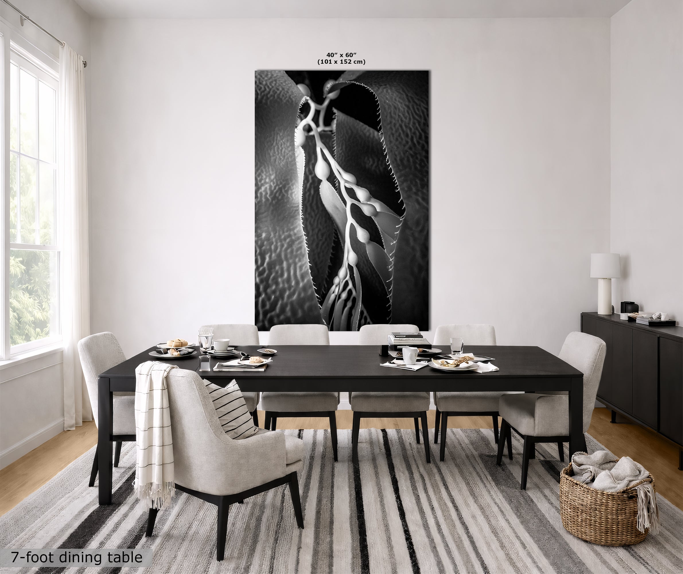 Limited Edition Fine Art Photography, Ocean Art California Giant Kelp, Essence