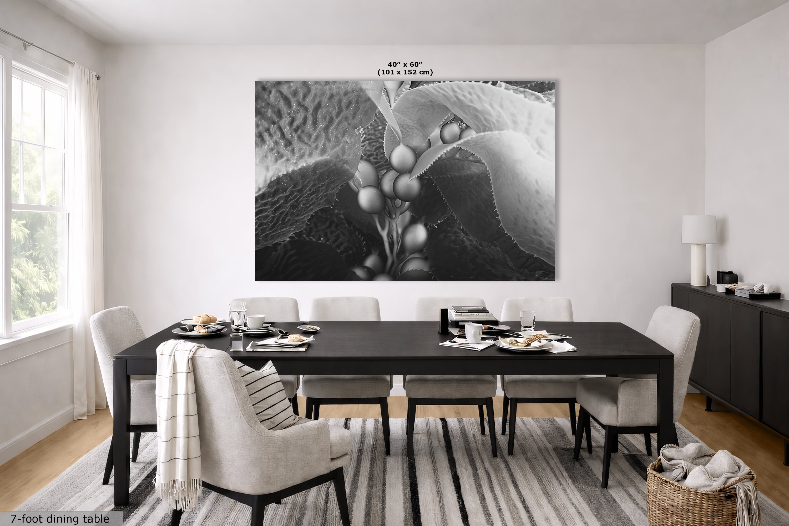 Limited Edition Fine Art Photography, California Giant Kelp Underwater Art, Intention