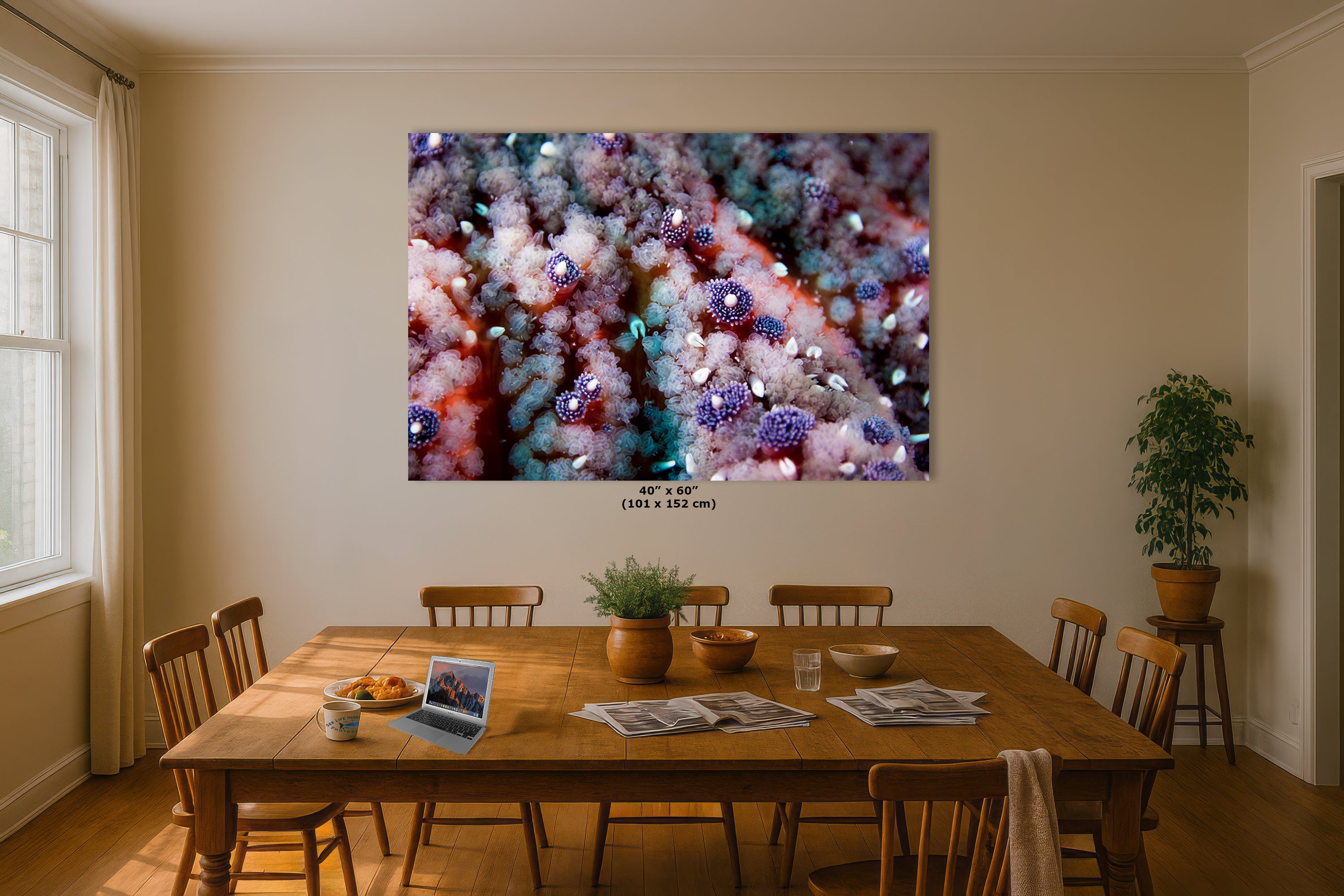 Ocean Life Starfish Photo, Marine Biology Underwater Scenery, Vibrant Coral Reef, Nature Photography for Office Decor, Relaxation Artwork