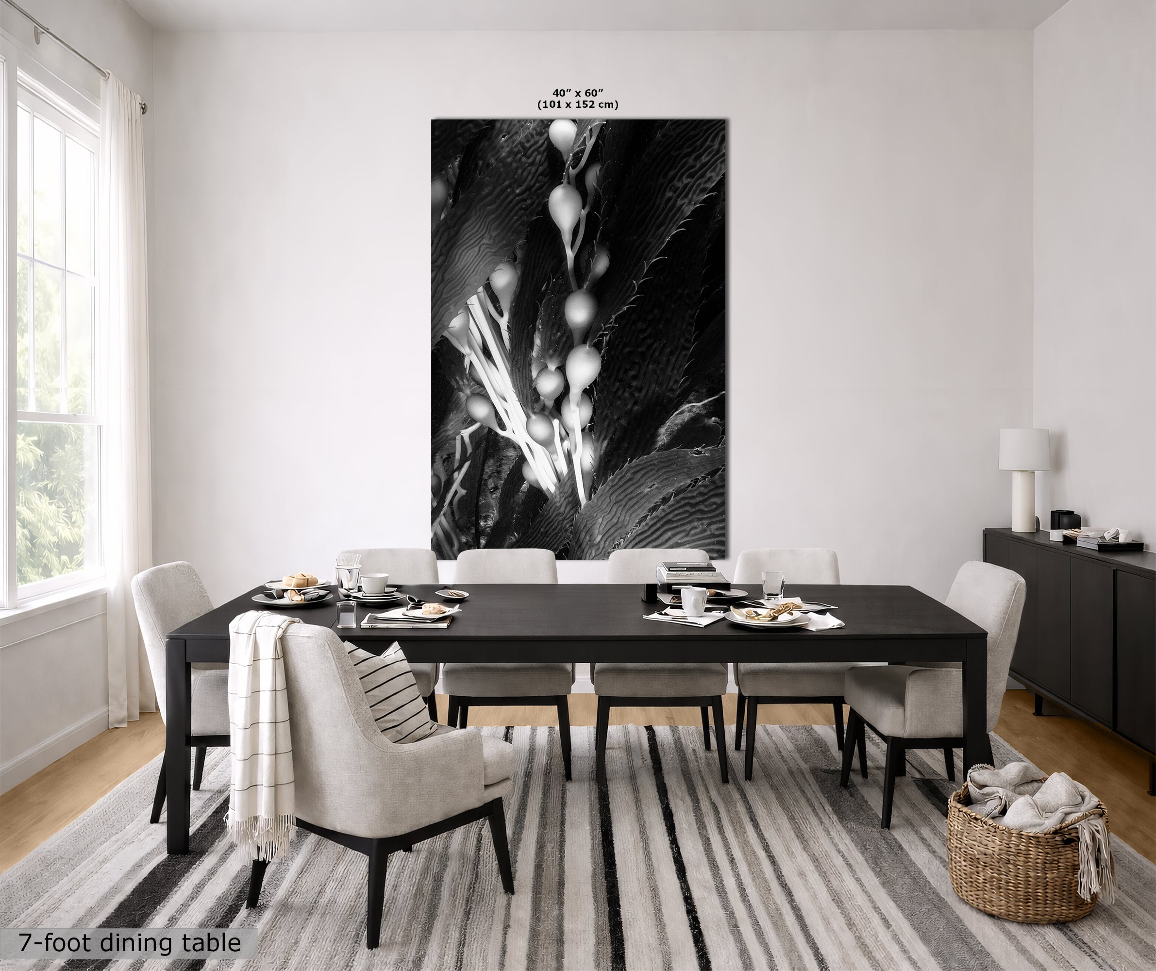 Limited Edition Fine Art Photography, Sea Life Art California Giant Kelp, Surrender
