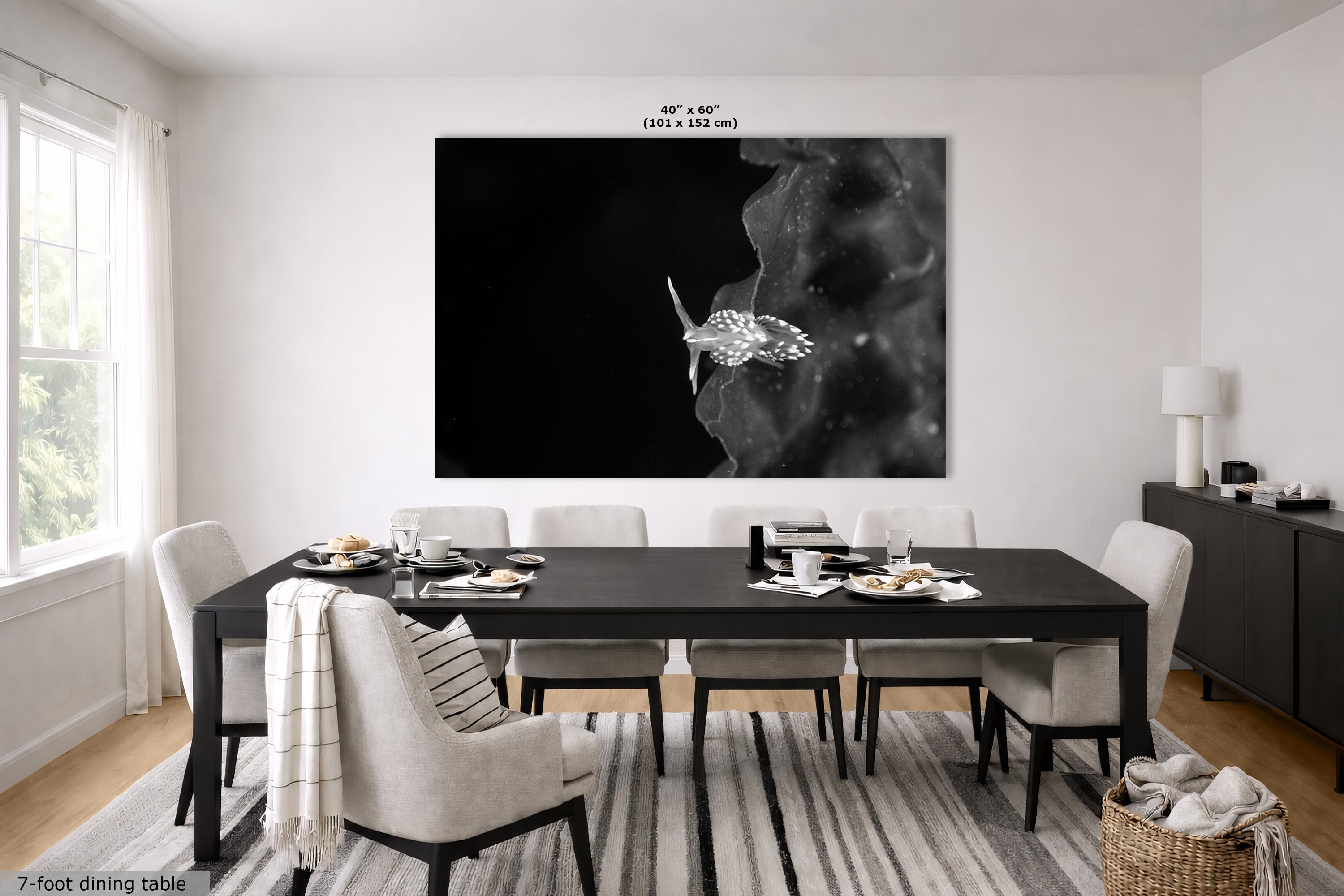 Limited Edition Fine Art Photography, Underwater Sea Life Ocean Art, The Universe