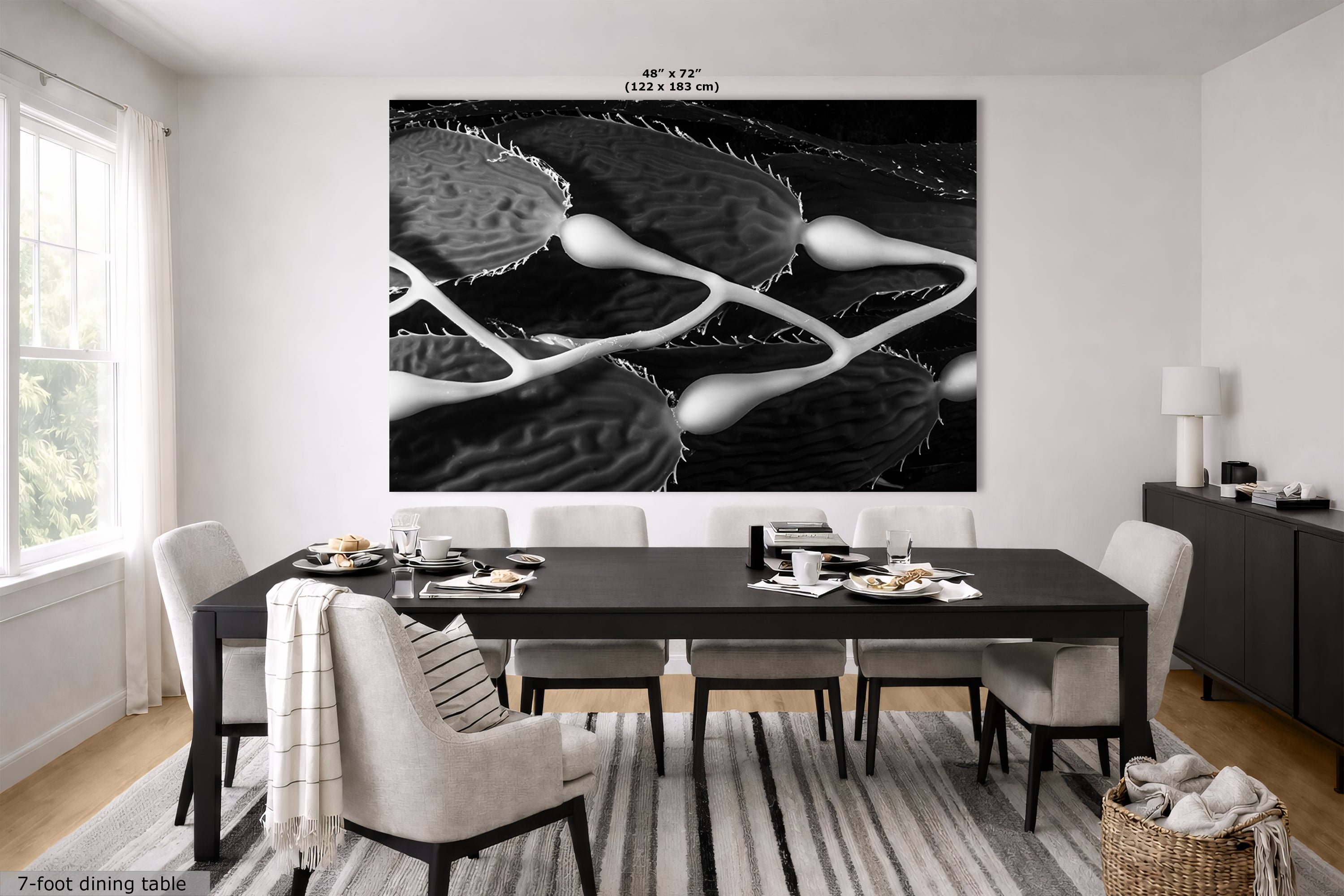 Limited Edition Fine Art Photography, Sea Life Ocean Art California Giant Kelp, Equanimity