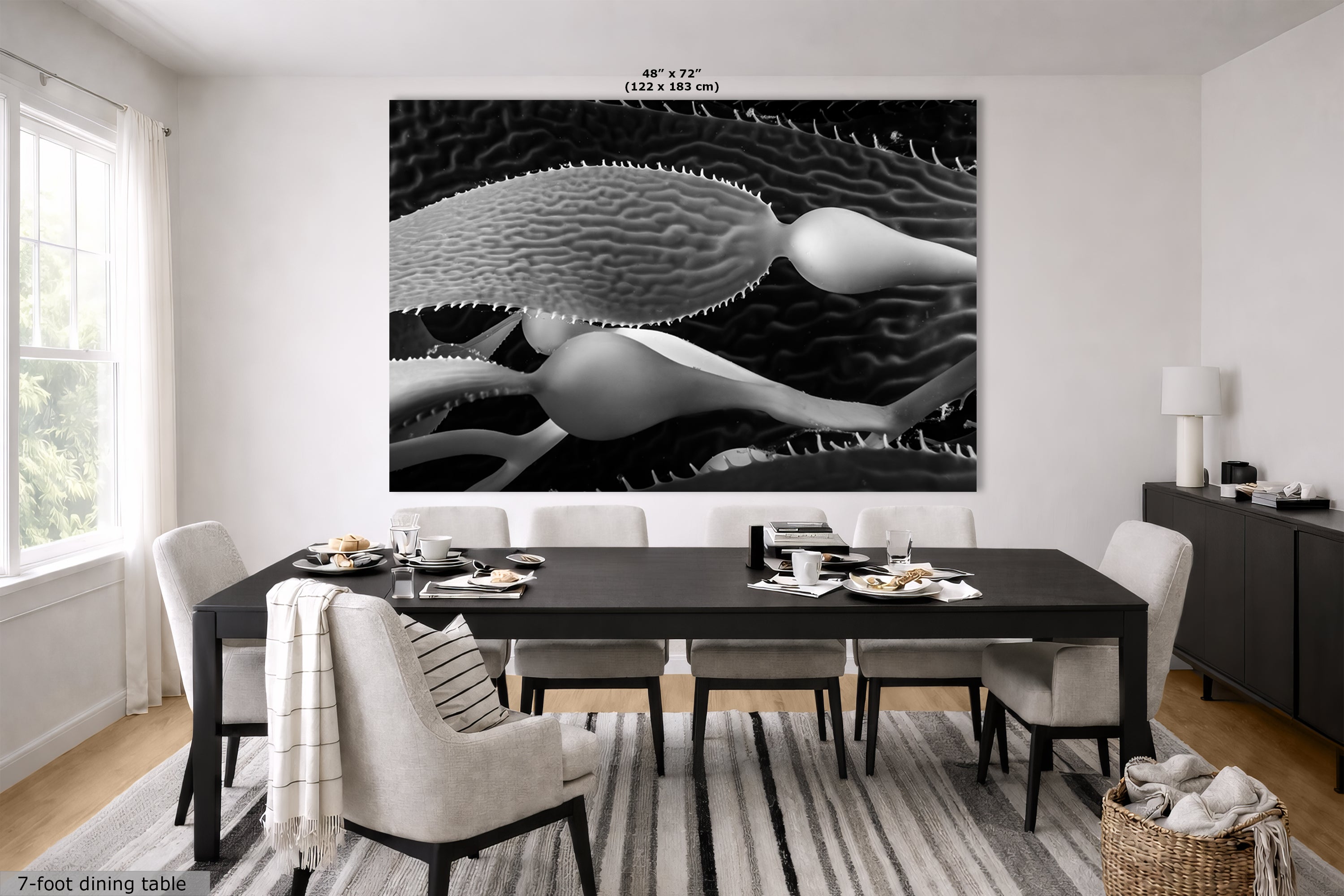 Limited Edition Fine Art Photography, California Giant Kelp Nature Photo, Clarity