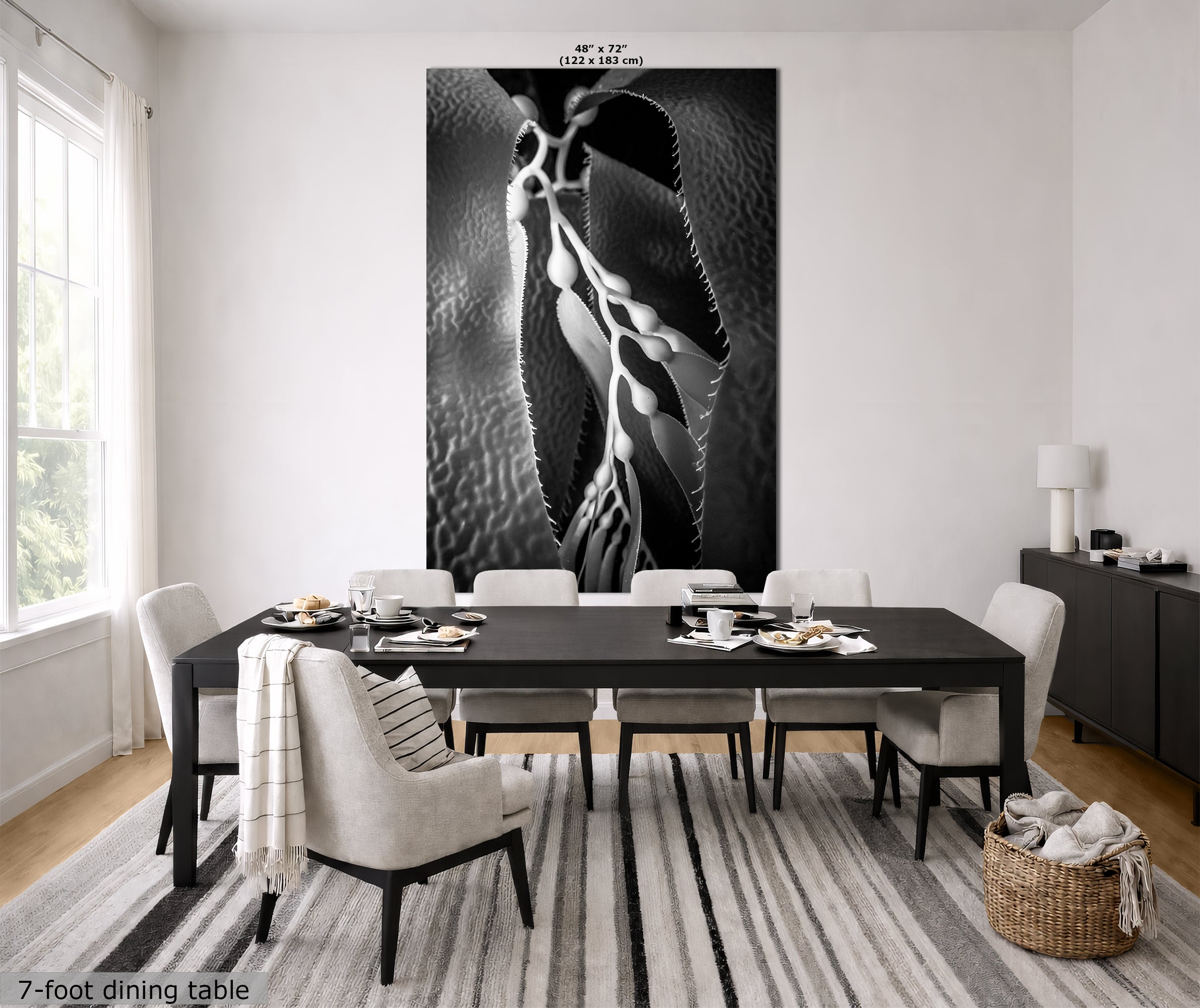 Limited Edition Fine Art Photography, Ocean Art California Giant Kelp, Essence