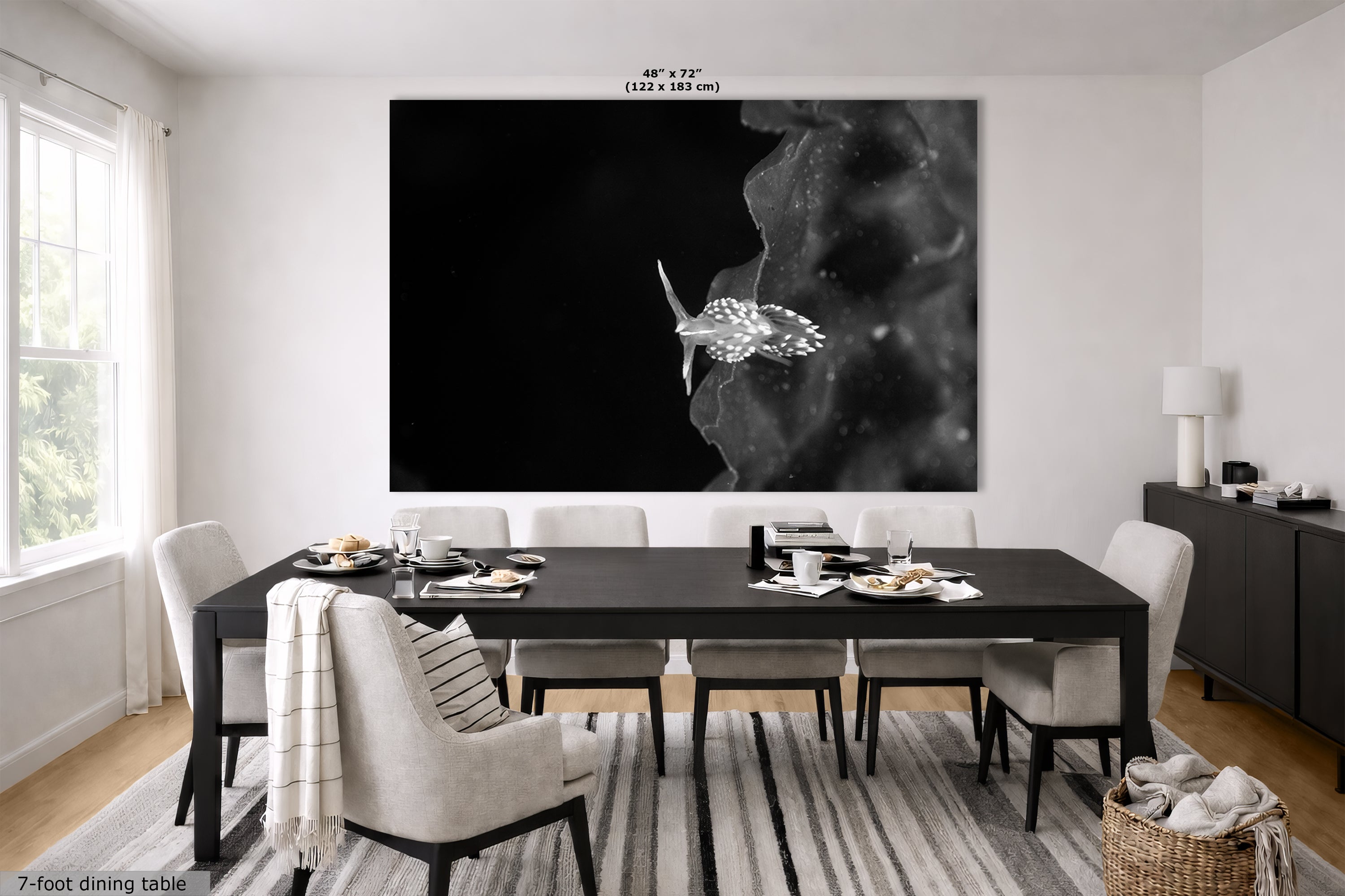 Limited Edition Fine Art Photography, Underwater Sea Life Ocean Art, The Universe