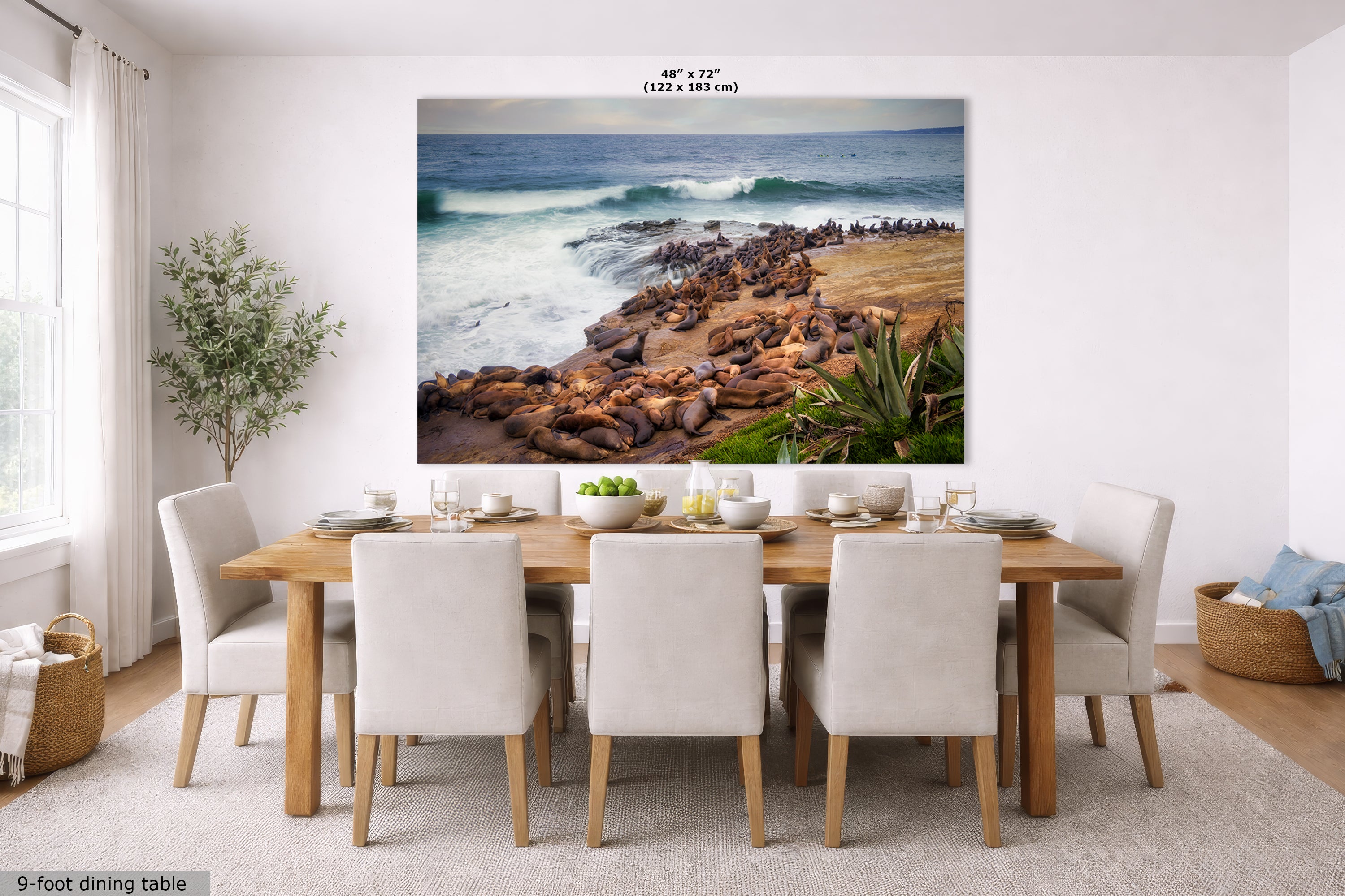 California Sea Lion Marine Mammal Wildlife Photography | Calming Nature Ocean Picture, Relaxation Artwork, La Jolla Coast, Nature Photo