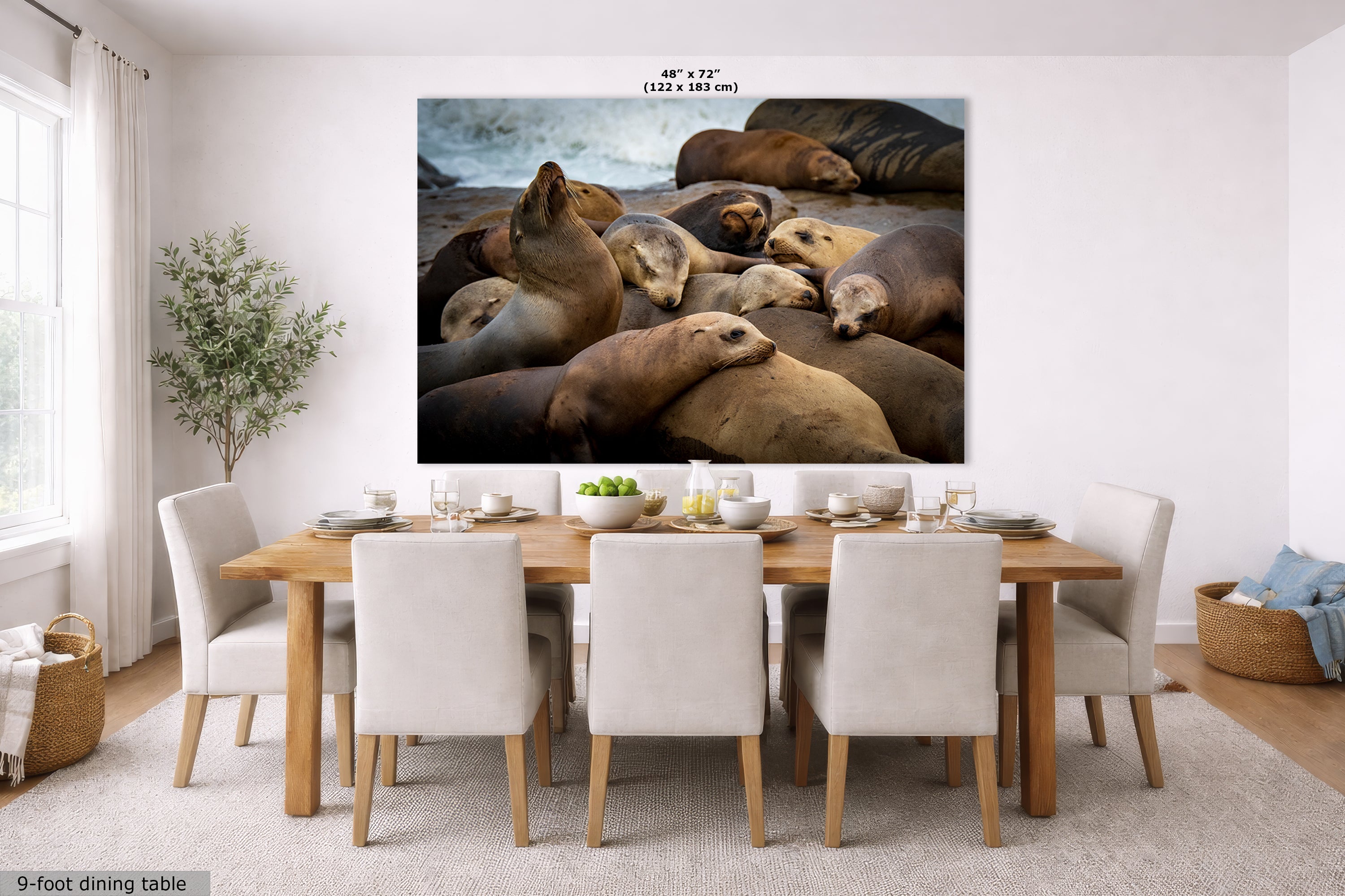 California Sea Lion Marine Mammal Wildlife Photography, Ocean Animals Wall Art, Nature Lover Gift, Marine Biology Artwork