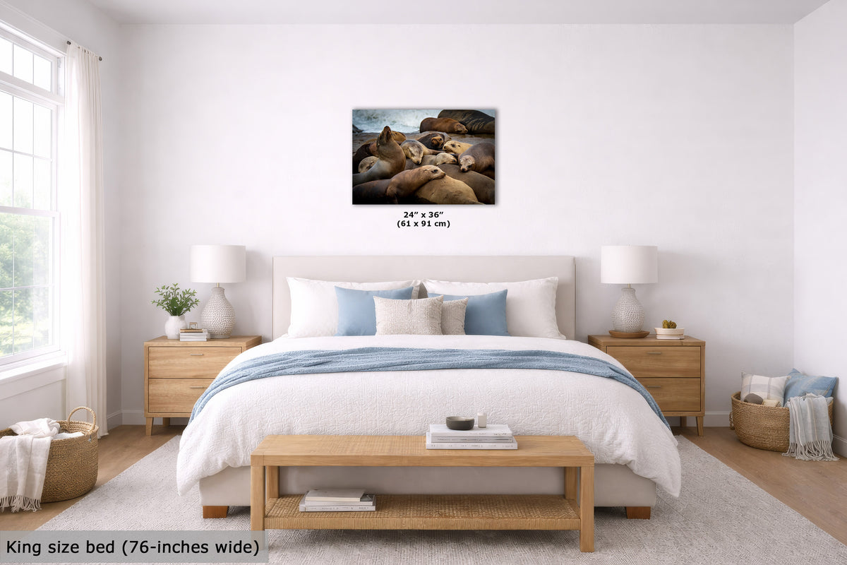 A wall art print showing a rocky shoreline with seals is displayed above a neatly made bed in a bright, modern bedroom. The print includes size text reading 24" x 36" (61 x 91 cm) and the image is presented in a styled room setting.