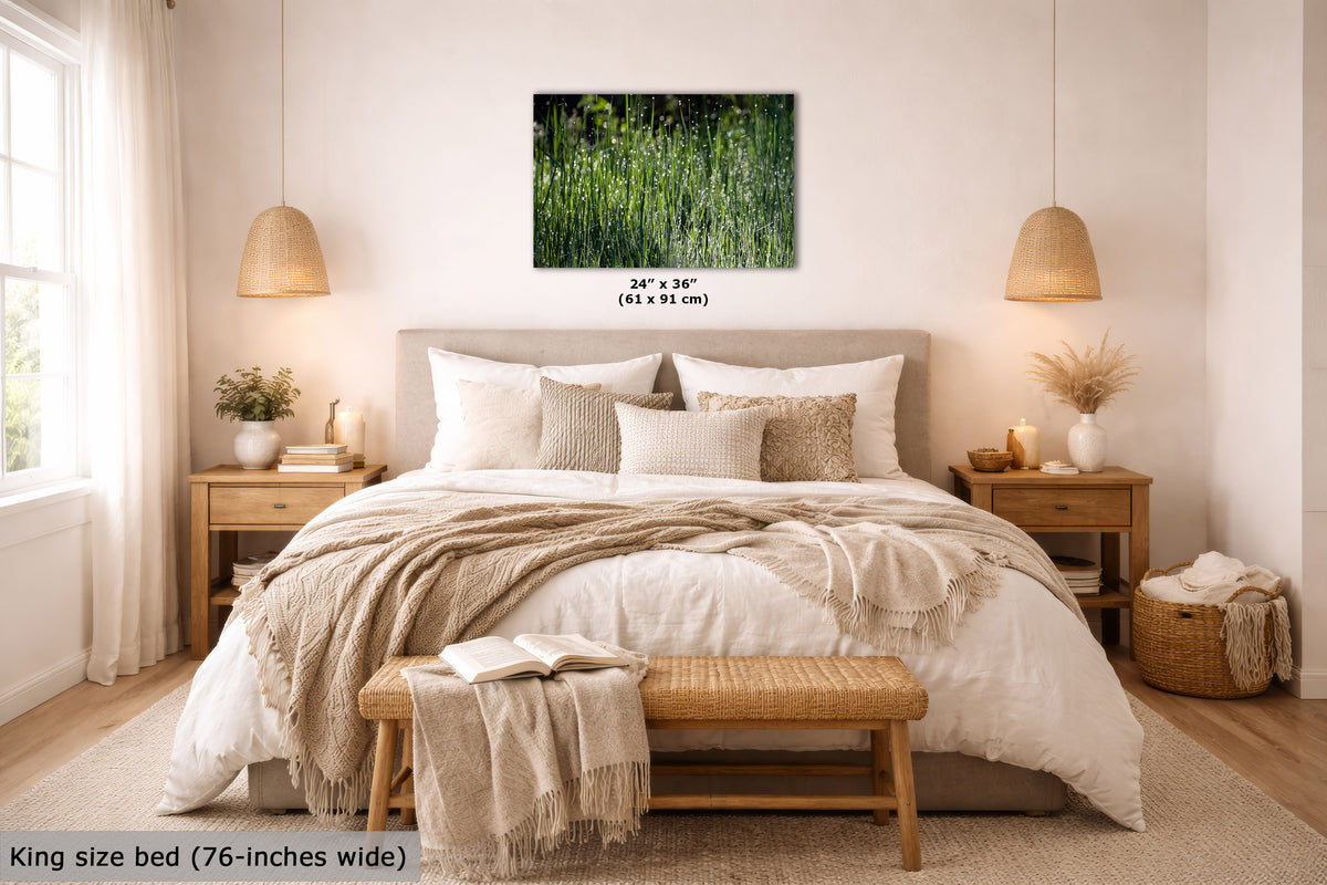 A wall art print showing a green bamboo forest is displayed above a neatly made king-size bed in a bright, modern bedroom. The print includes size text indicating 24" x 36" (61 x 91 cm), and a text overlay at the bottom left states 'King size bed (76-inches wide)'.