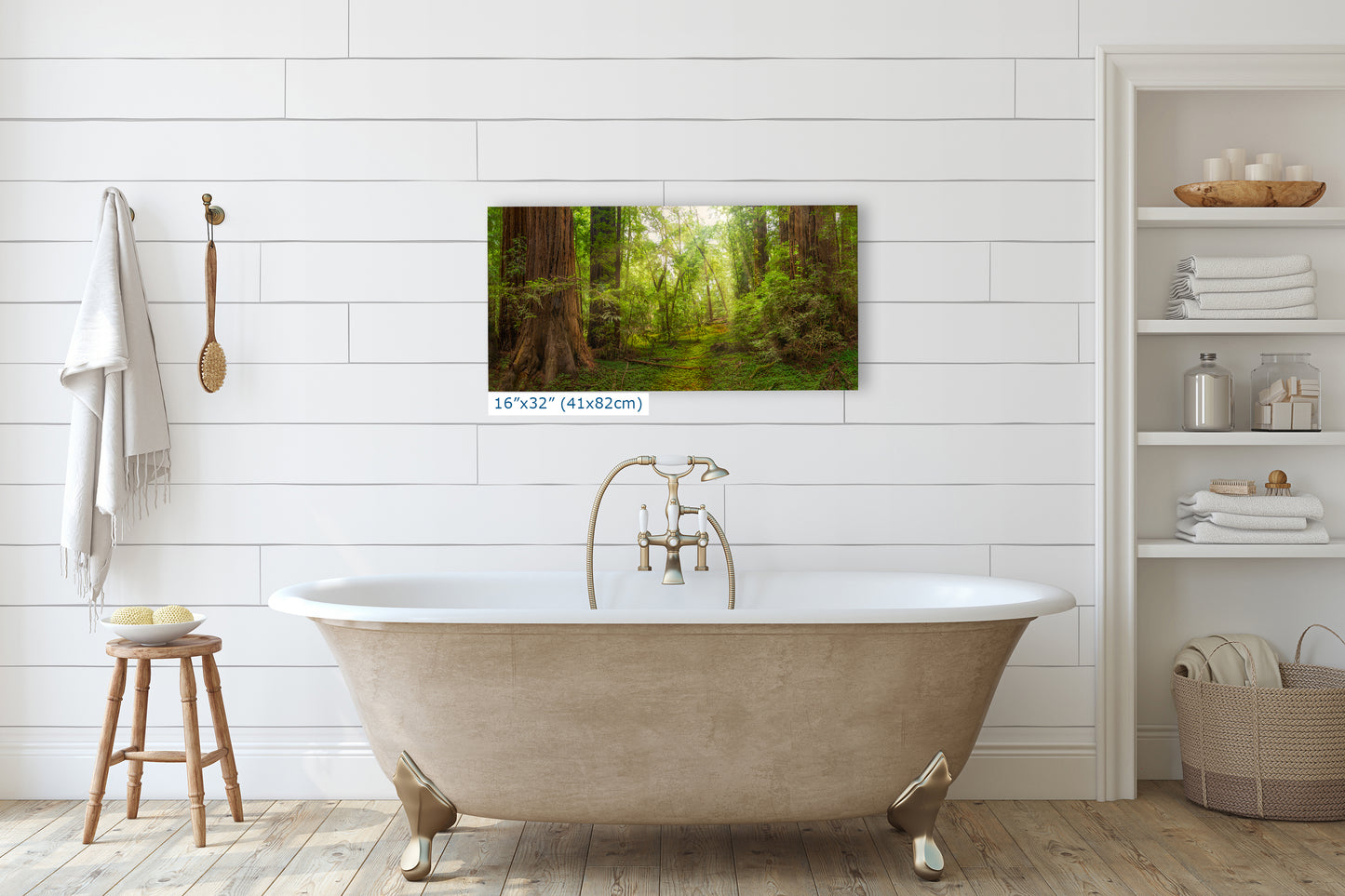 Redwood Tree Wall Art - Panoramic Forest Picture Nature Photo