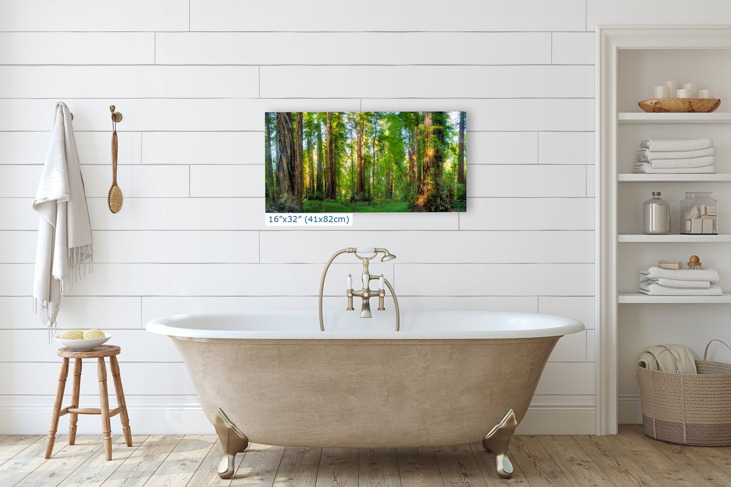 Redwood Trees Forest Picture Nature Photo, Forest Bathing Relaxation Artwork for Calming Meditation, Office and House Decor