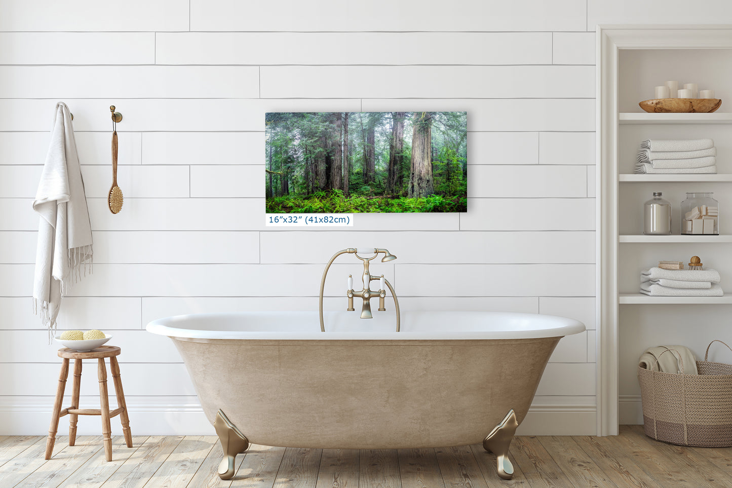 Redwood Trees Forest Picture Nature Photo, Forest Bathing in Misty California Redwoods Wall Art, for Relaxation in the Home and Office