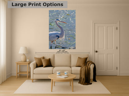 Great Blue Heron Art Wildlife Photography, Nature Wall Decor for Bird Lovers, Ocean Conservation, Relaxing Office or Room Artwork