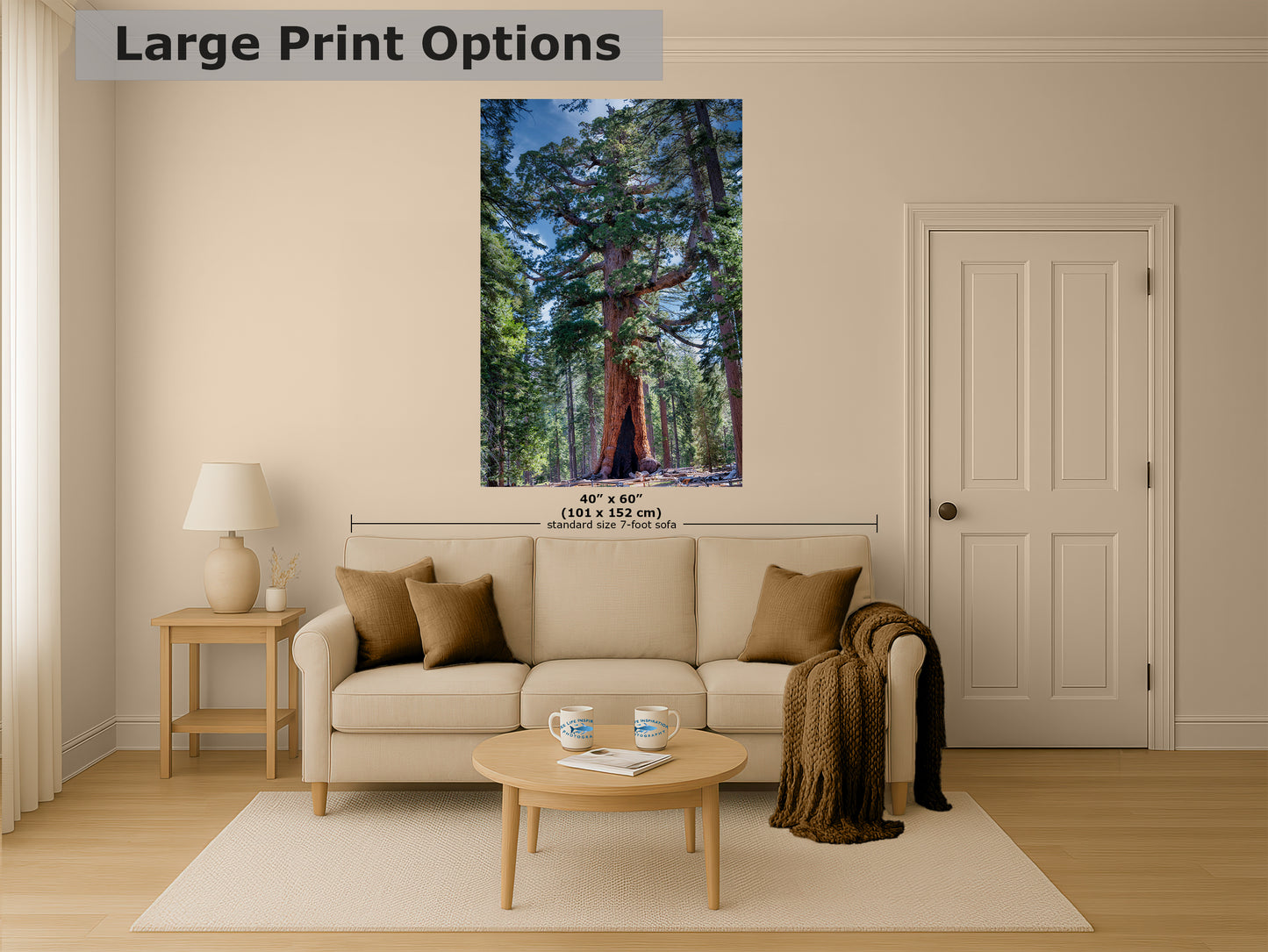 Giant Sequoia Tree Forest Picture Nature Photo, Yosemite Redwood Trees, Mariposa Grove Tree Hugger Decor, Forest Bathing for Relaxation