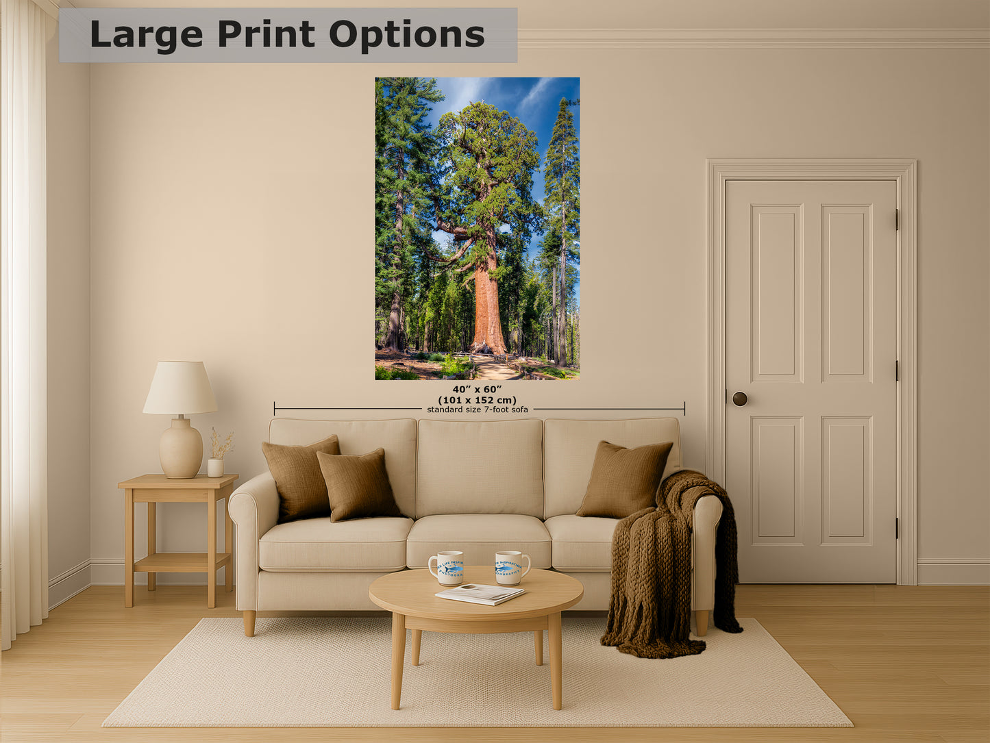 Giant Sequoia Tree Forest Picture Nature Photo, Yosemite Redwood Trees, Forest Bathing for Nature Lovers, House and Office