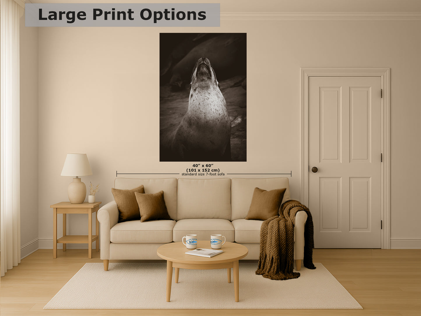 California Sea Lion Marine Mammal Wildlife Photography, Ocean Animals, Coastal House Decor, Nature Lover Gift, Marine Biology Artwork