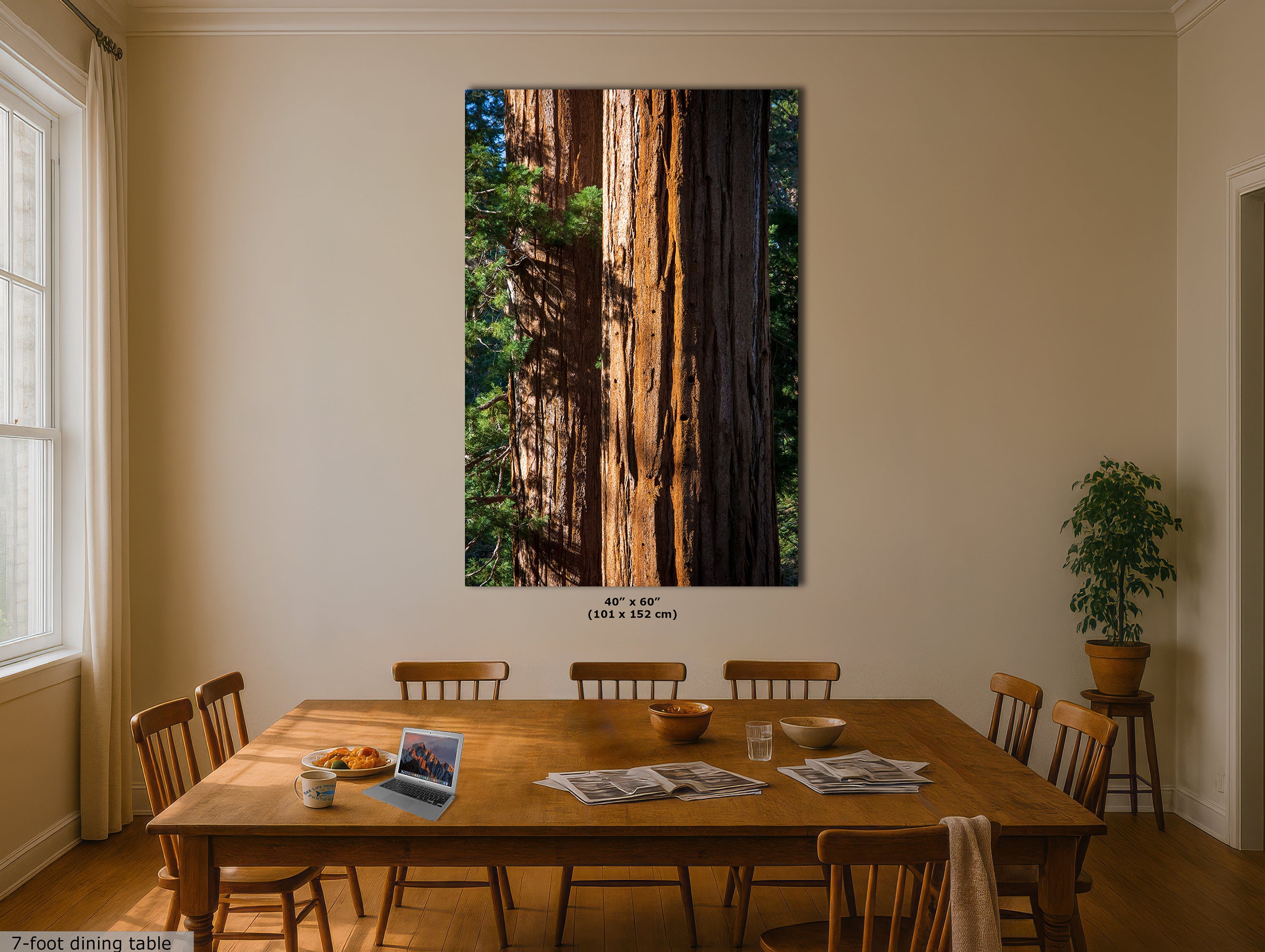 Giant Sequoia Tree Forest Picture Nature Photo, Redwood Trees Wall Art, Forest Bathing National Park Poster, Relaxation Decor