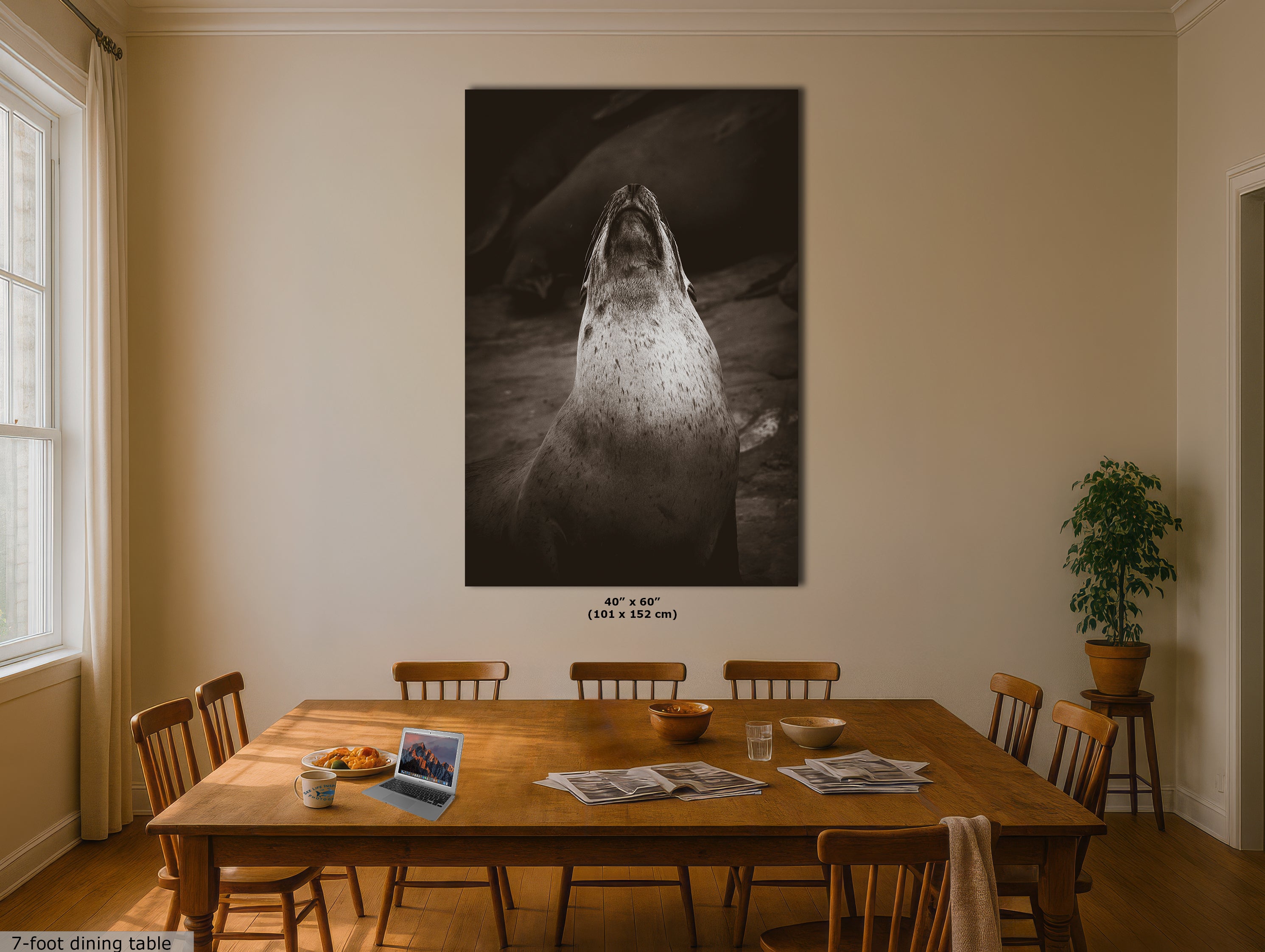 California Sea Lion Marine Mammal Wildlife Photography, Ocean Animals, Coastal House Decor, Nature Lover Gift, Marine Biology Artwork